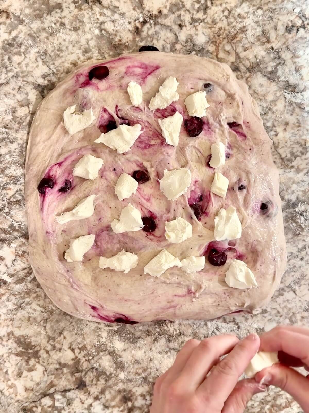 Blueberry sourdough bread dough stretched out into a rectangle on a floured countertop with chunks of cream cheese distributed evenly over the top.