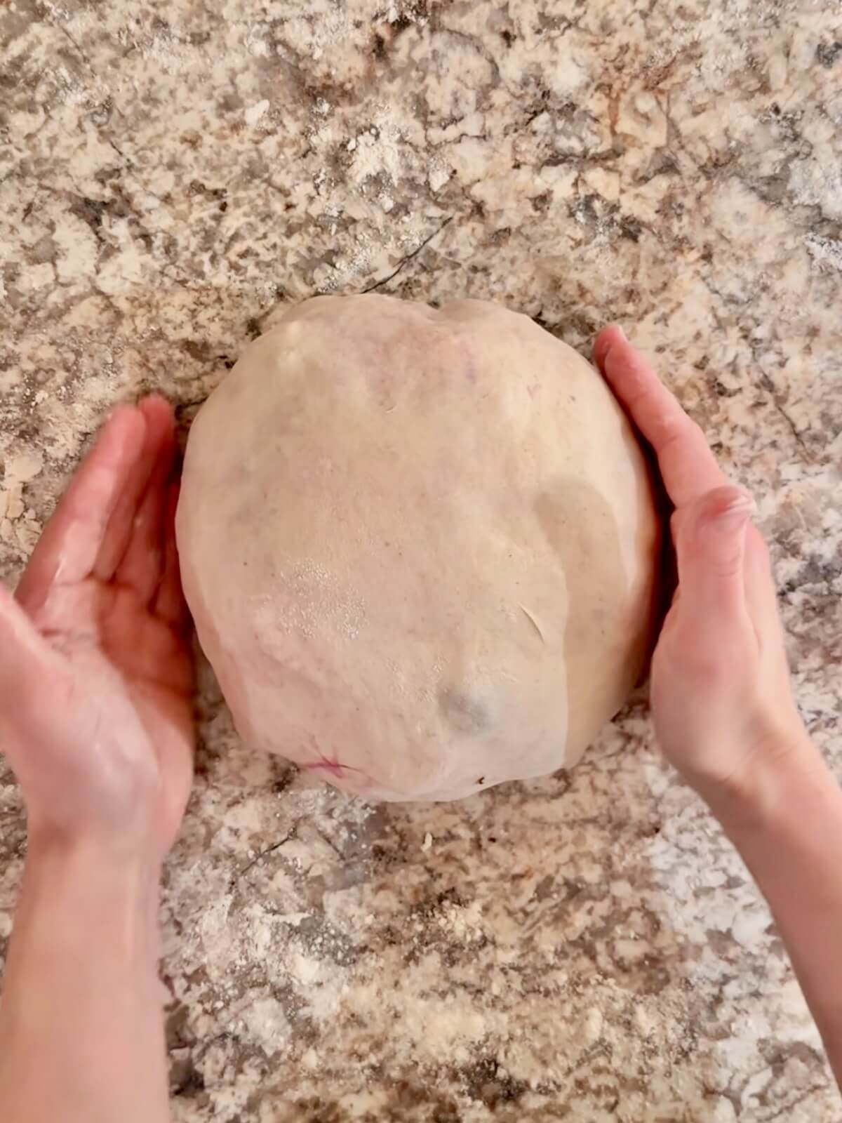 Blueberry cream cheese sourdough bread dough being shaped into a boule on a countertop.