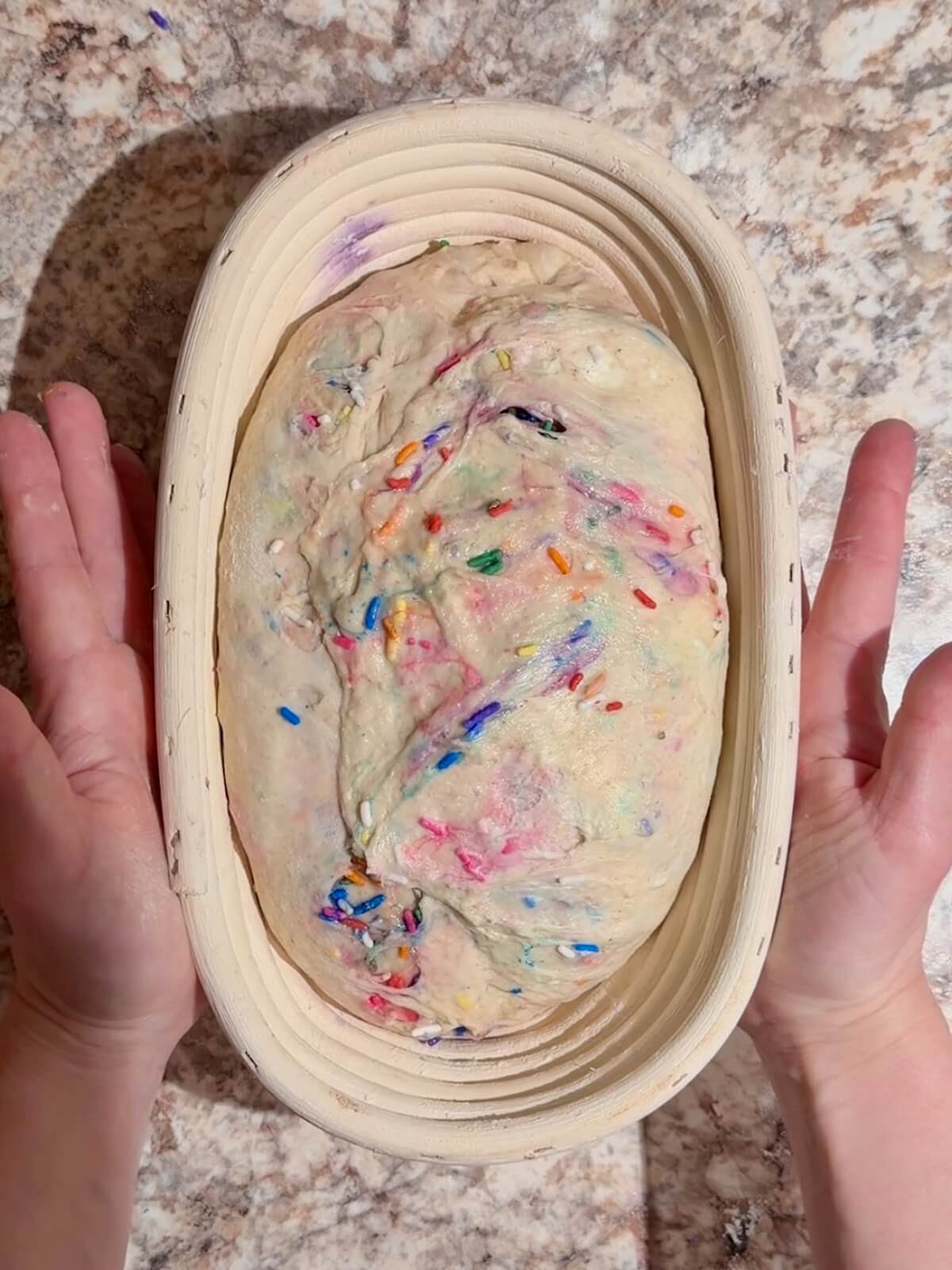 Funfetti sourdough bread in an oval proofing basket before cold proofing overnight.