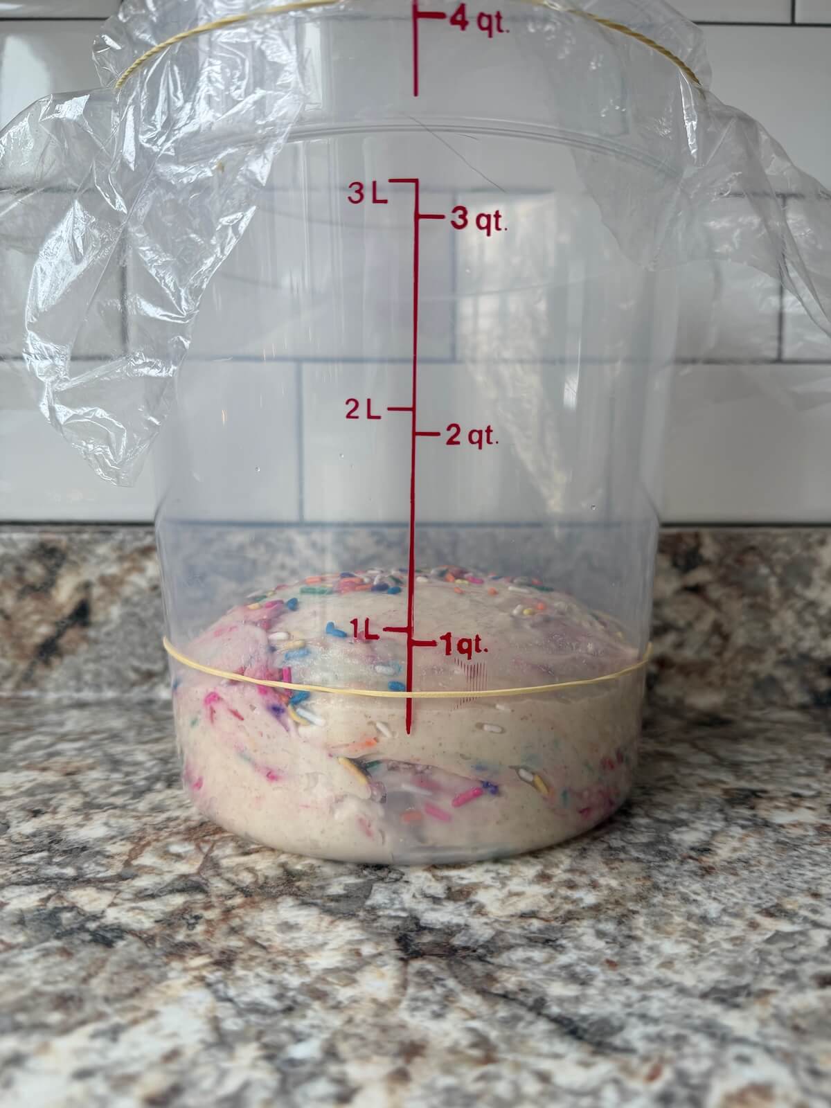 Sourdough funfetti bread dough in a straight-sided container before bulk fermentation.