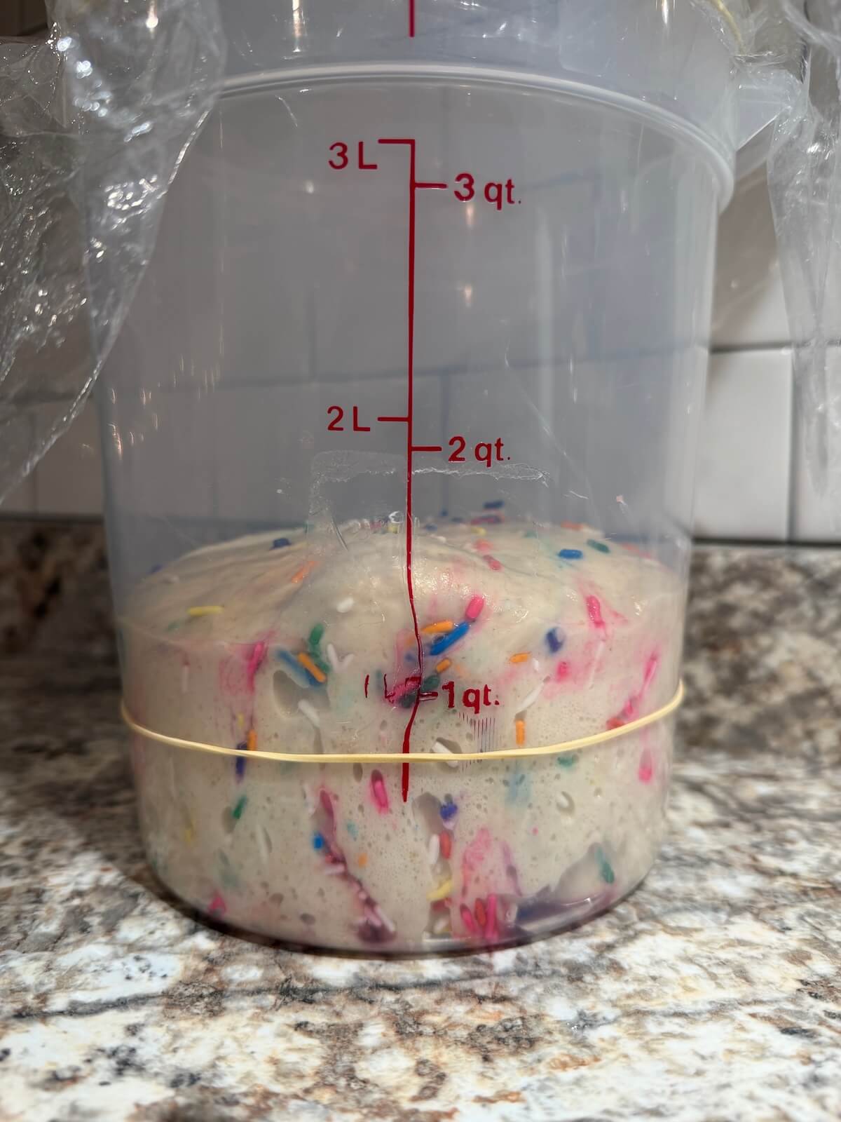 Sourdough funfetti bread dough in a straight-sided container after bulk fermentation.