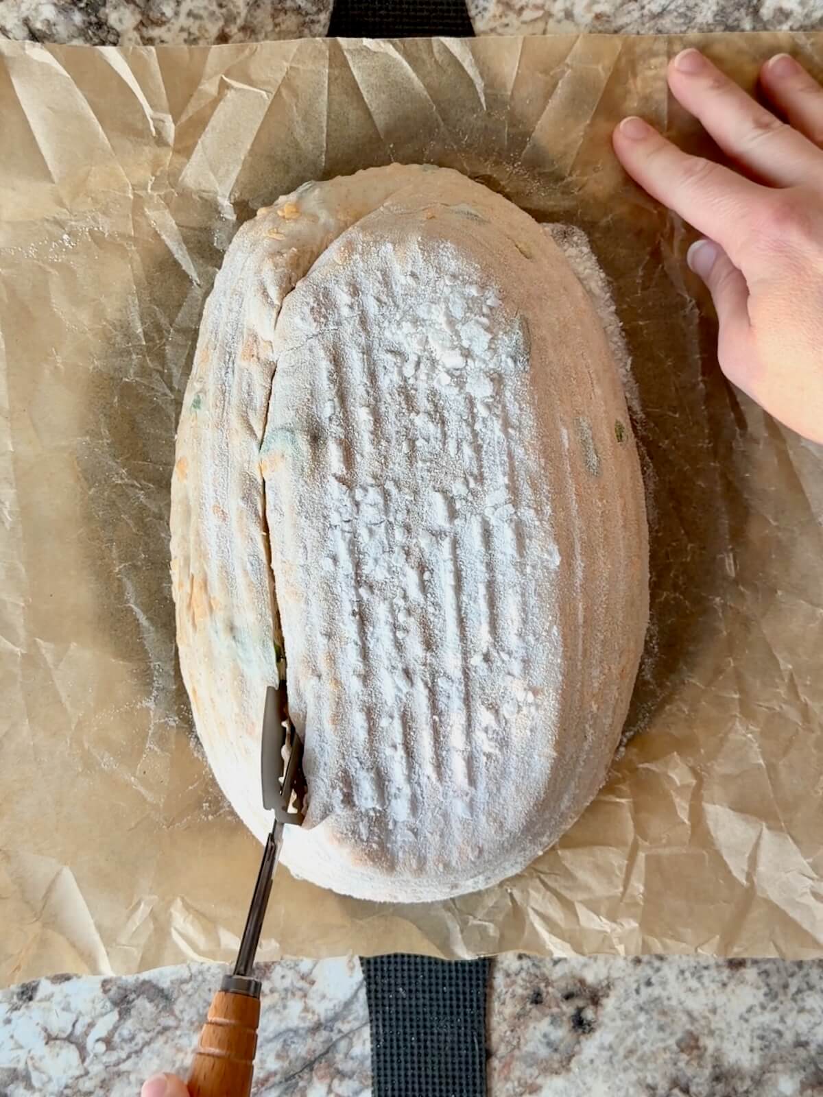 JalapeƱo cheddar sourdough bread dough being scored on a piece of parchment paper.