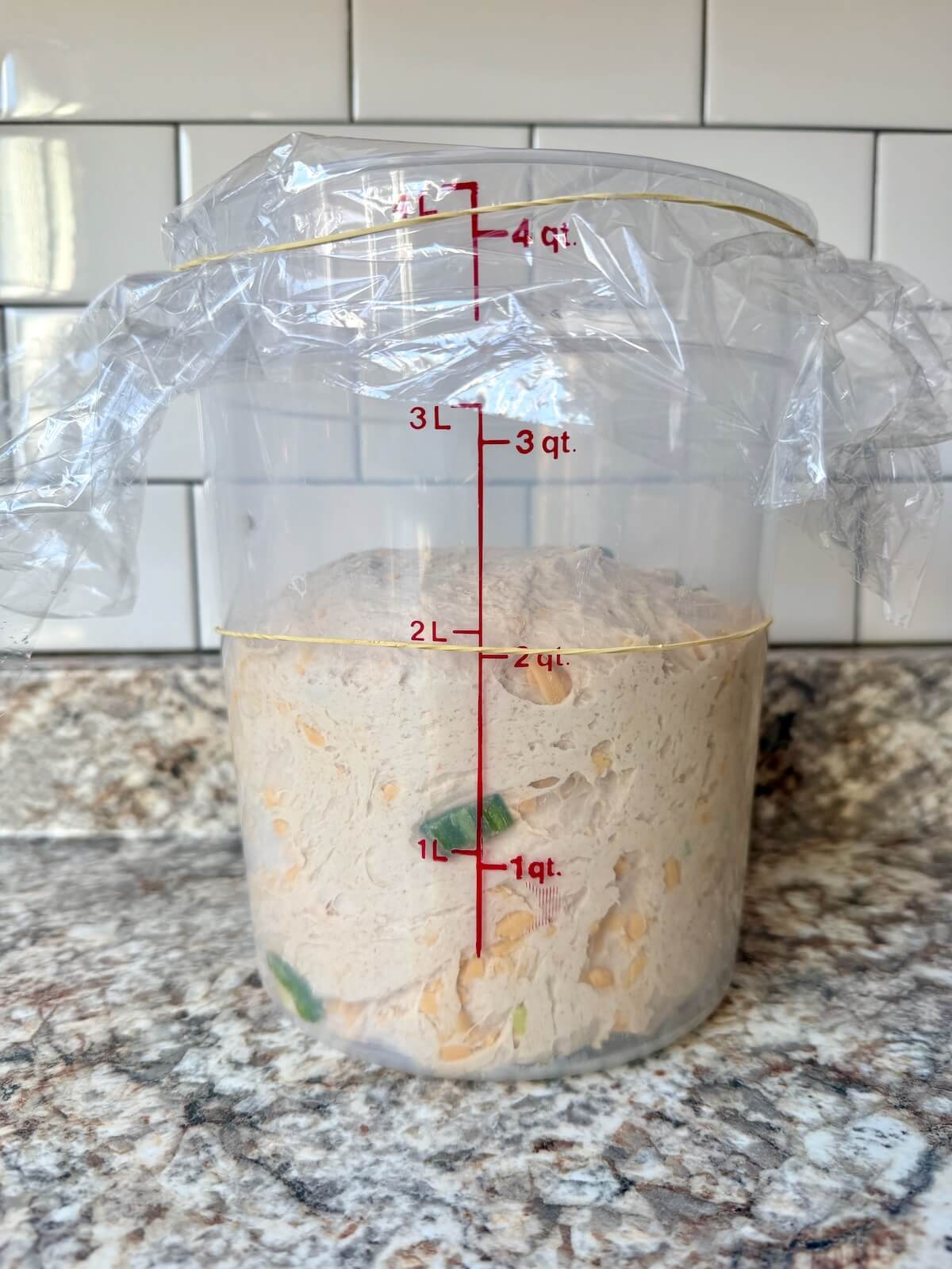 JalapeƱo cheddar sourdough bread dough in a straight sided container before bulk fermenting.