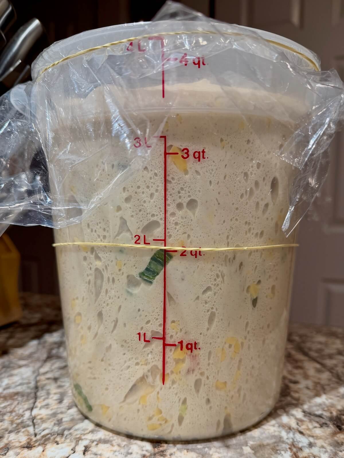 JalapeƱo cheddar sourdough bread dough in a straight sided container after bulk fermenting.