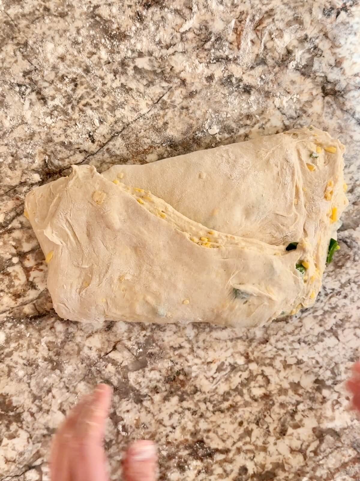 JalapeƱo cheddar sourdough bread dough being shaped on a floured counter.