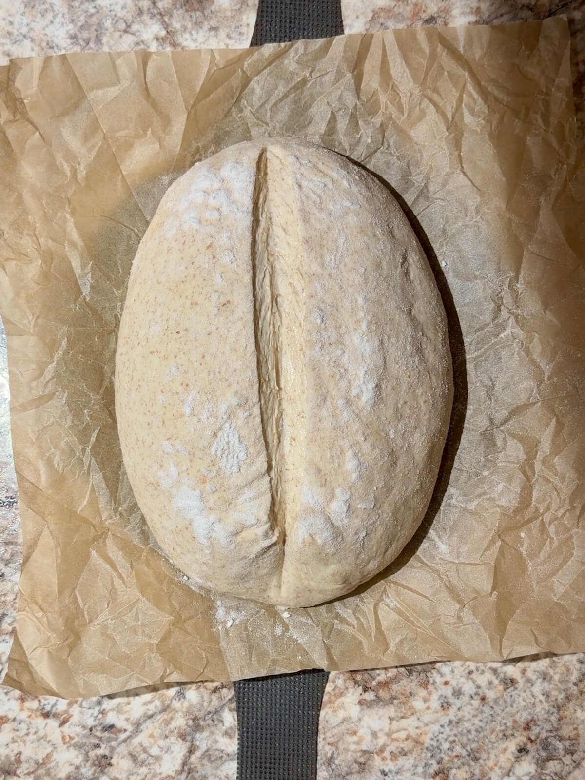 Same day sourdough bread dough scored on a piece of parchment paper before baking.