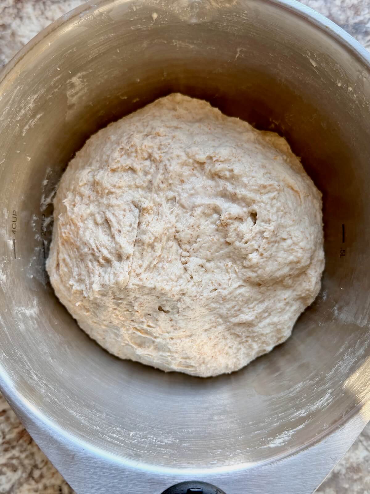 Same day sourdough bread dough mixed together in a stainless steel bowl.