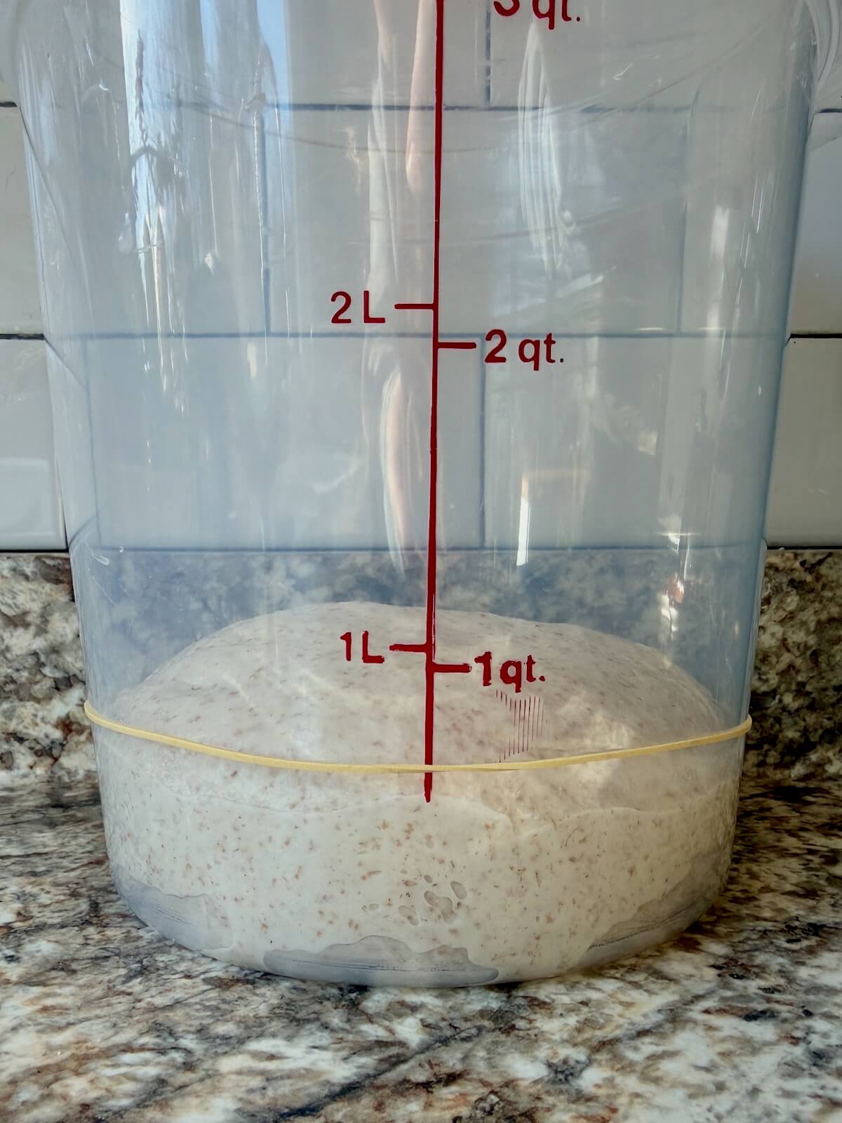 The dough in a straight-sided container before fermenting.