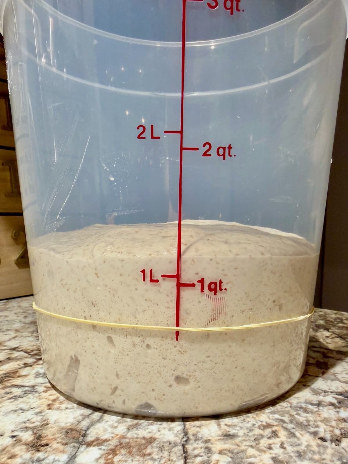 The dough in a straight-sided container after fermenting.