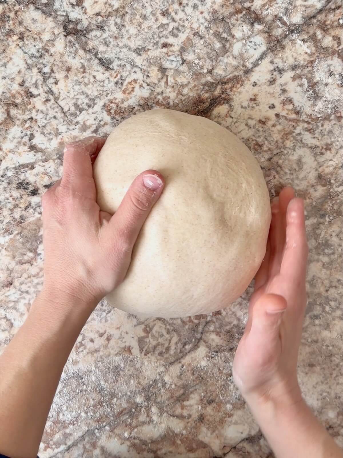 A sourdough beer bread dough ball being formed by two hands.