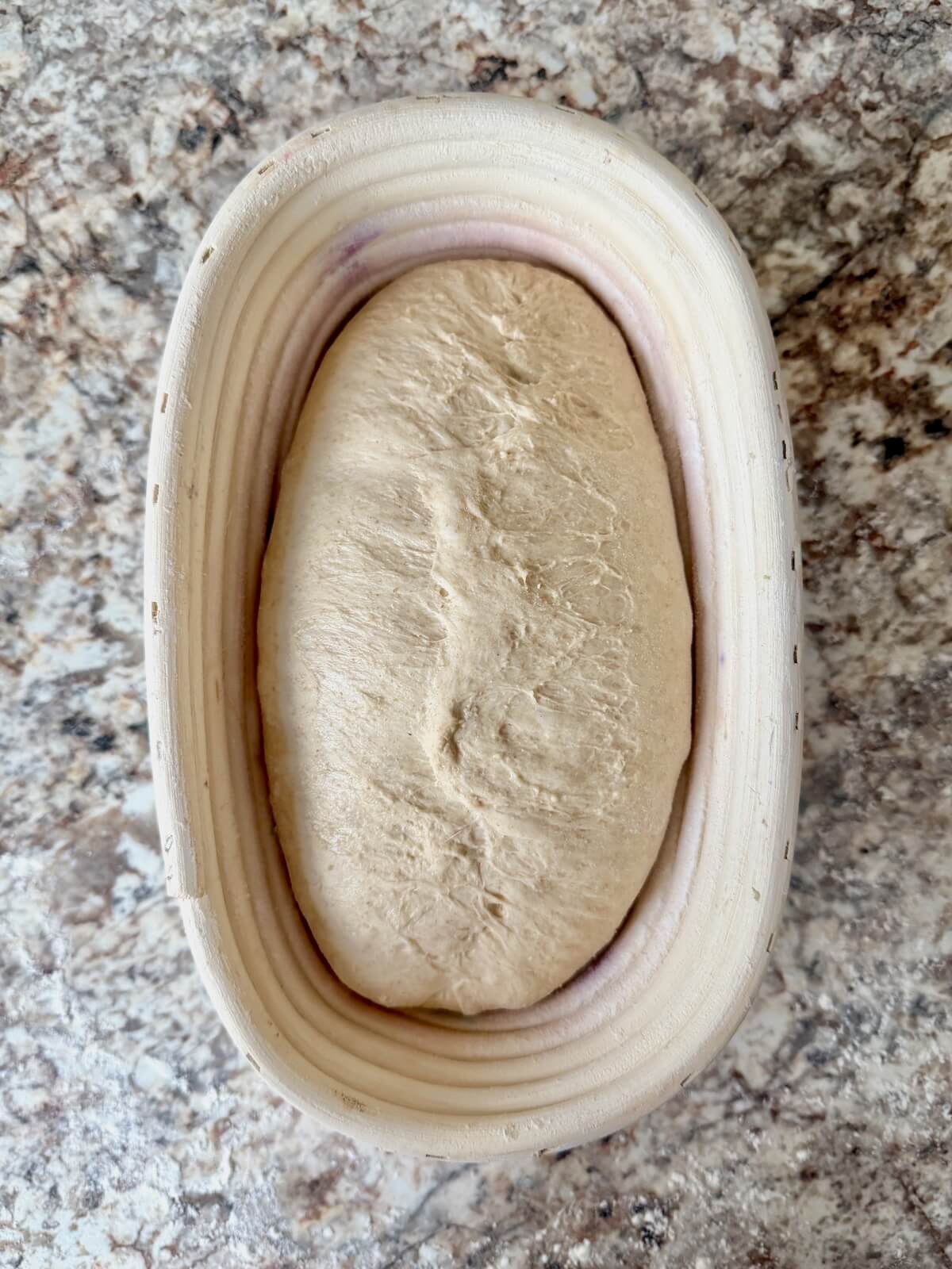 Beer sourdough bread dough in an oval proofing basket before cold proofing overnight.