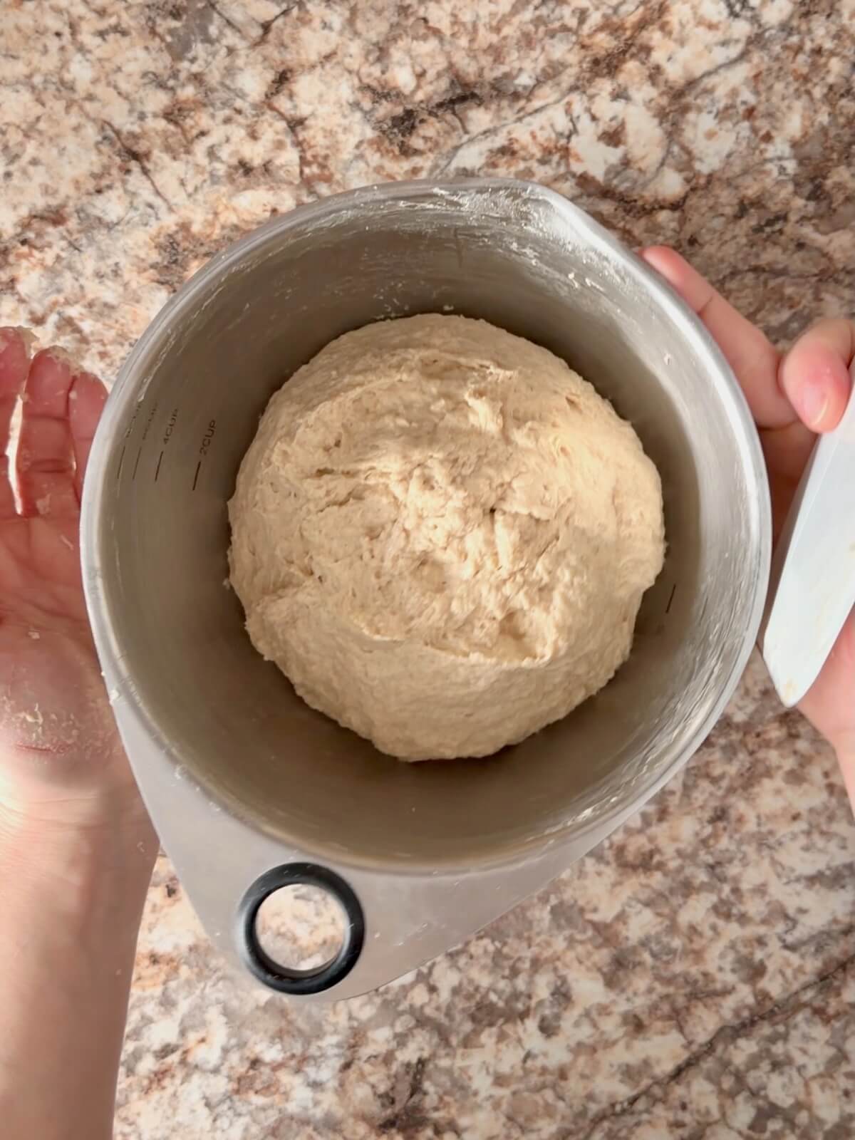 Beer sourdough bread dough mixed together in a stainless steel bowl.