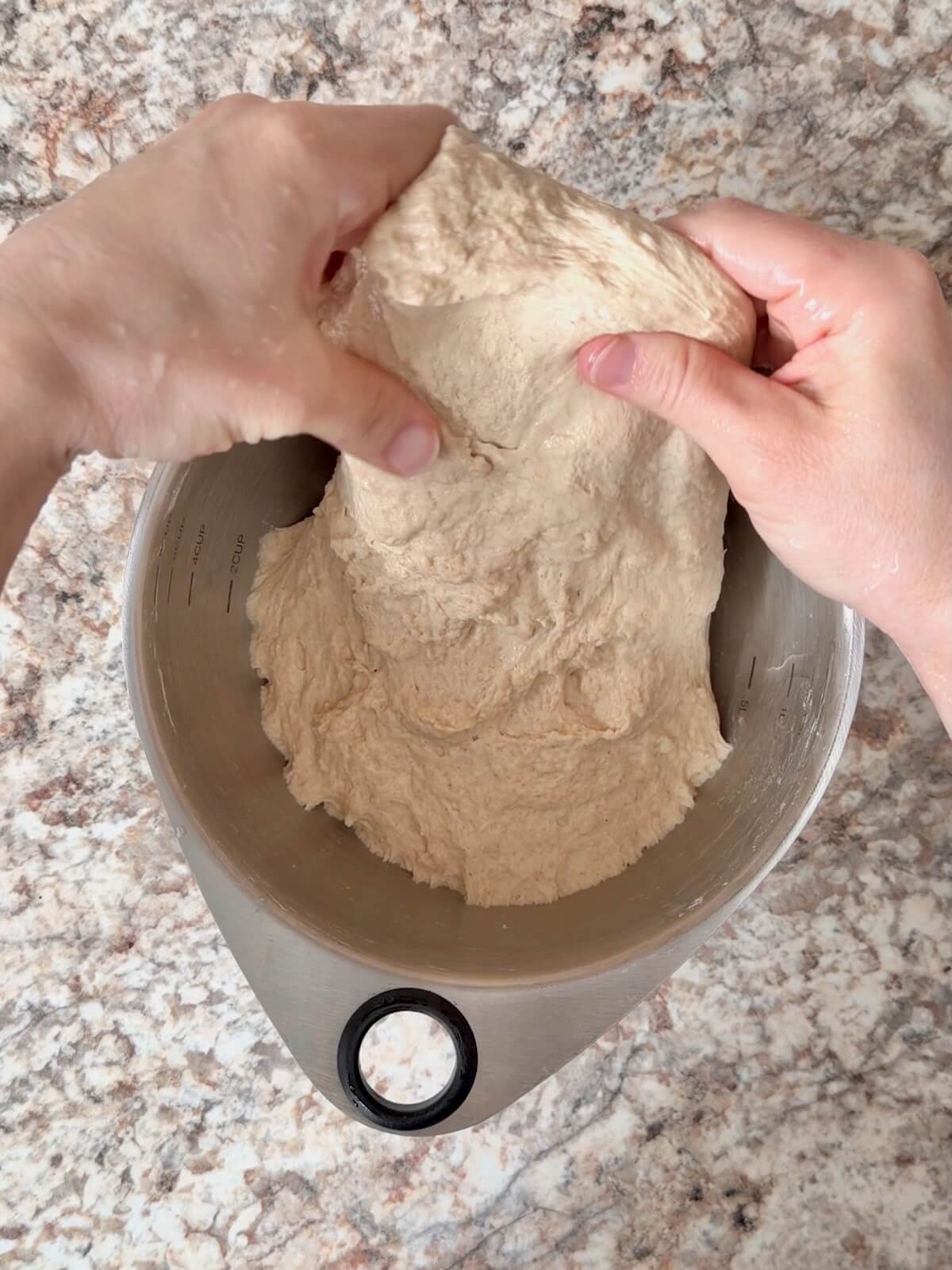 Two hands stretching sourdough beer bread dough in a stainless steel bowl.