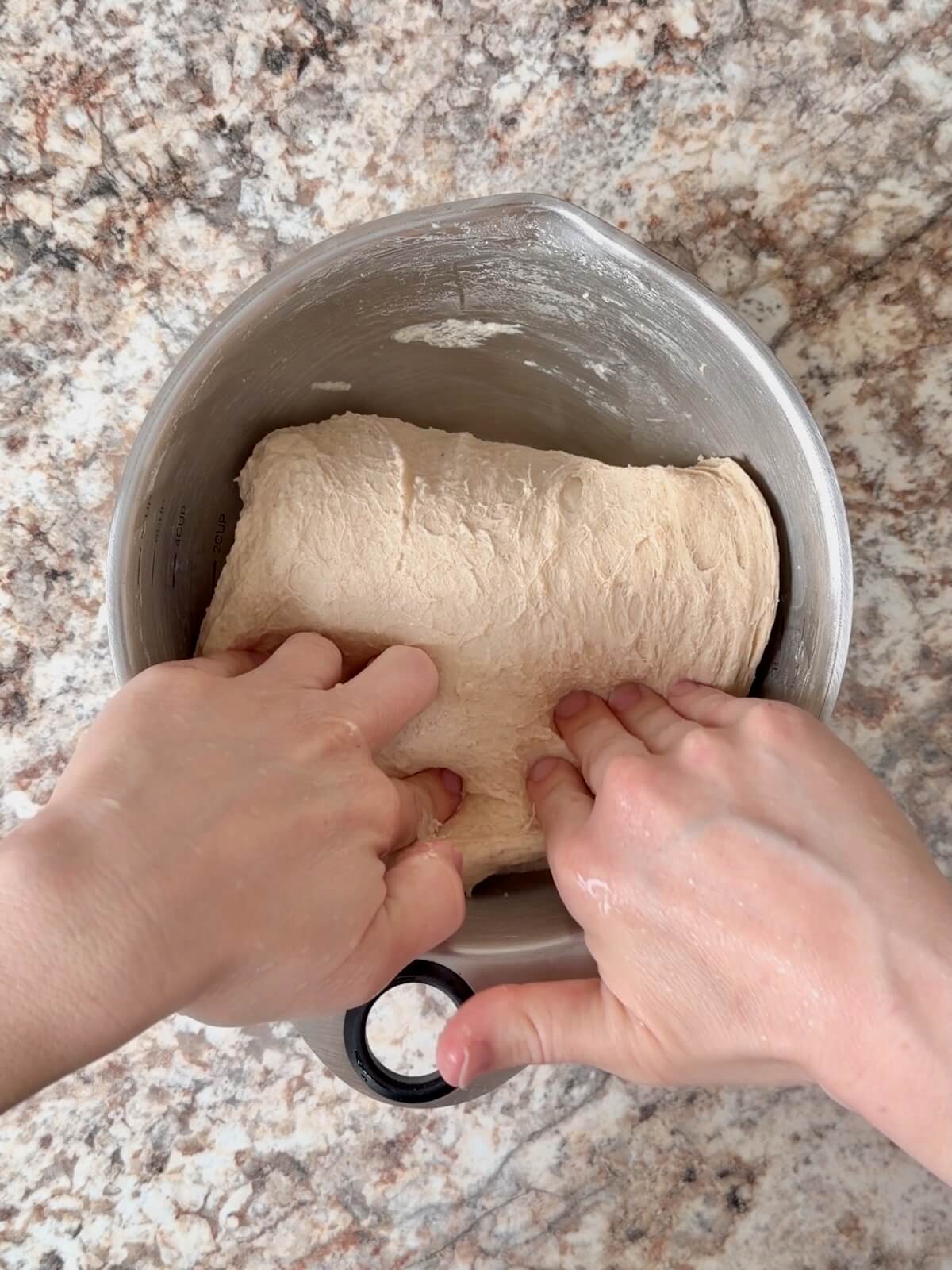 Two hands folding sourdough beer bread dough over itself in a stainless steel bowl.