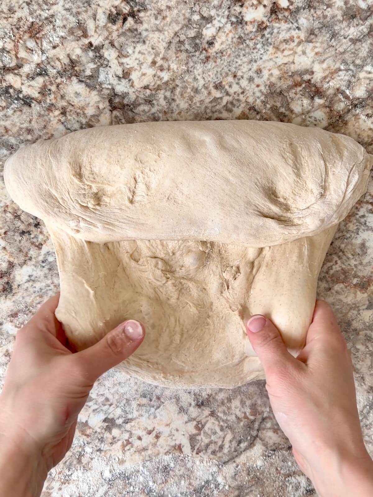 Beer sourdough bread dough being shaped on a floured counter.