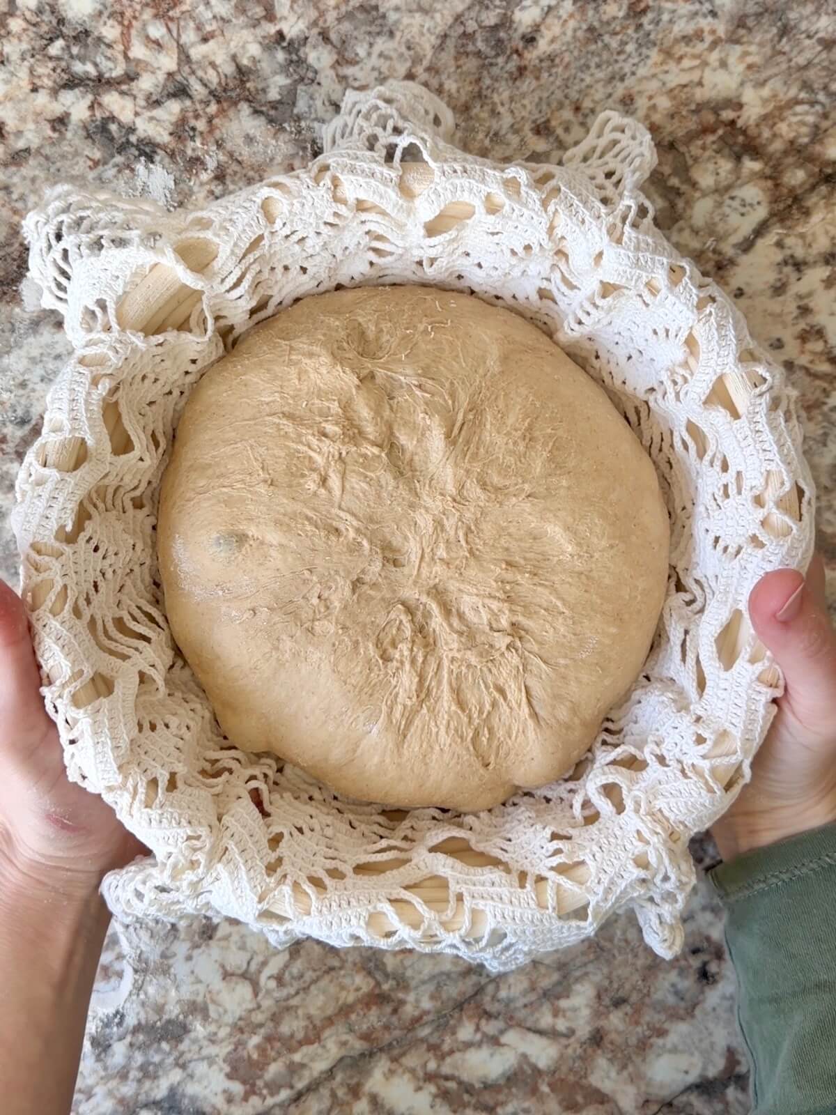 The shaped dough in a round, lined proofing basket before cold proofing.