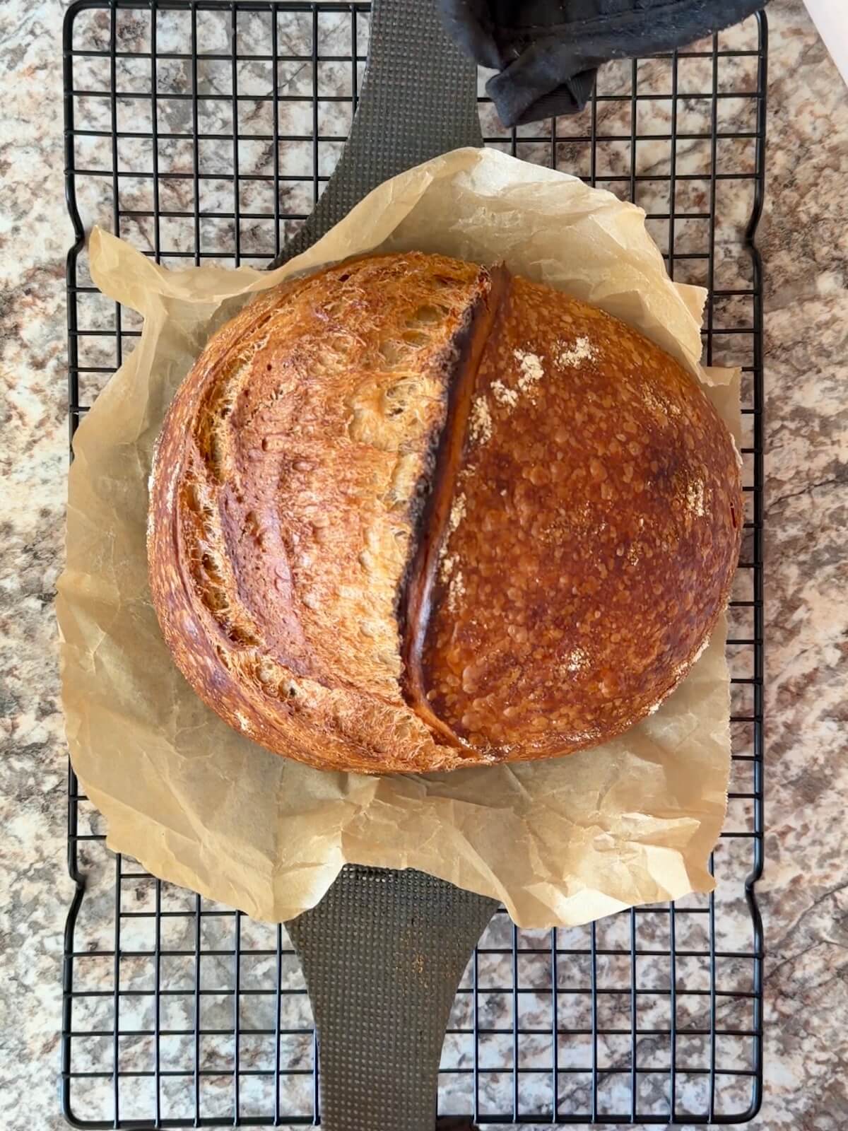 Baked coffee sourdough bread dough on a wire cooling rack.