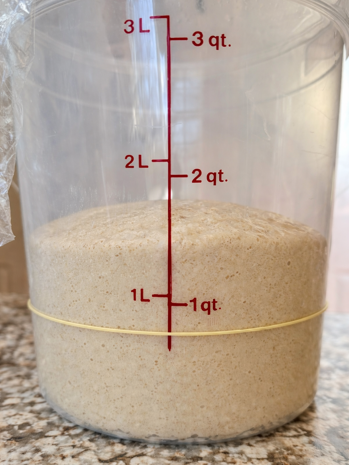 Coffee sourdough bread dough in a straight-sided container before bulk fermentation.