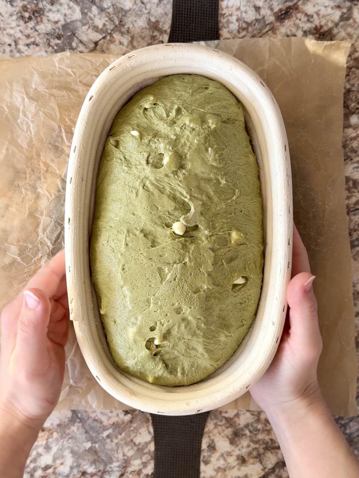 Matcha sourdough bread dough after proofing in the refrigerator.