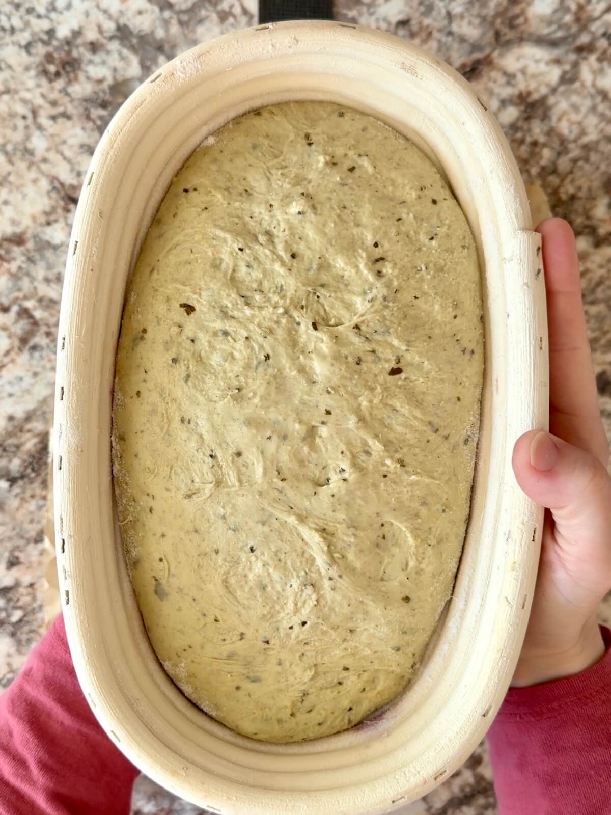 Pesto sourdough bread dough after cold proofing in the fridge overnight.