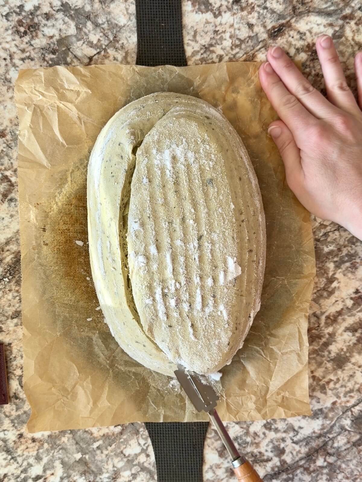 Pesto sourdough bread dough being scored on a piece of parchment paper.