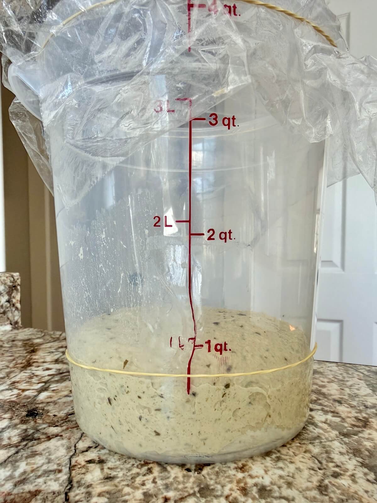 Pesto sourdough bread dough in a straight-sided container before bulk fermentation.