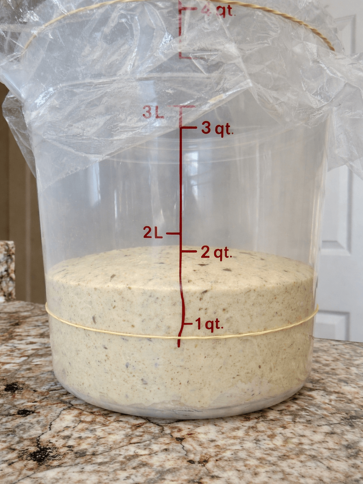 Pesto sourdough bread dough in a straight-sided container after bulk fermentation.