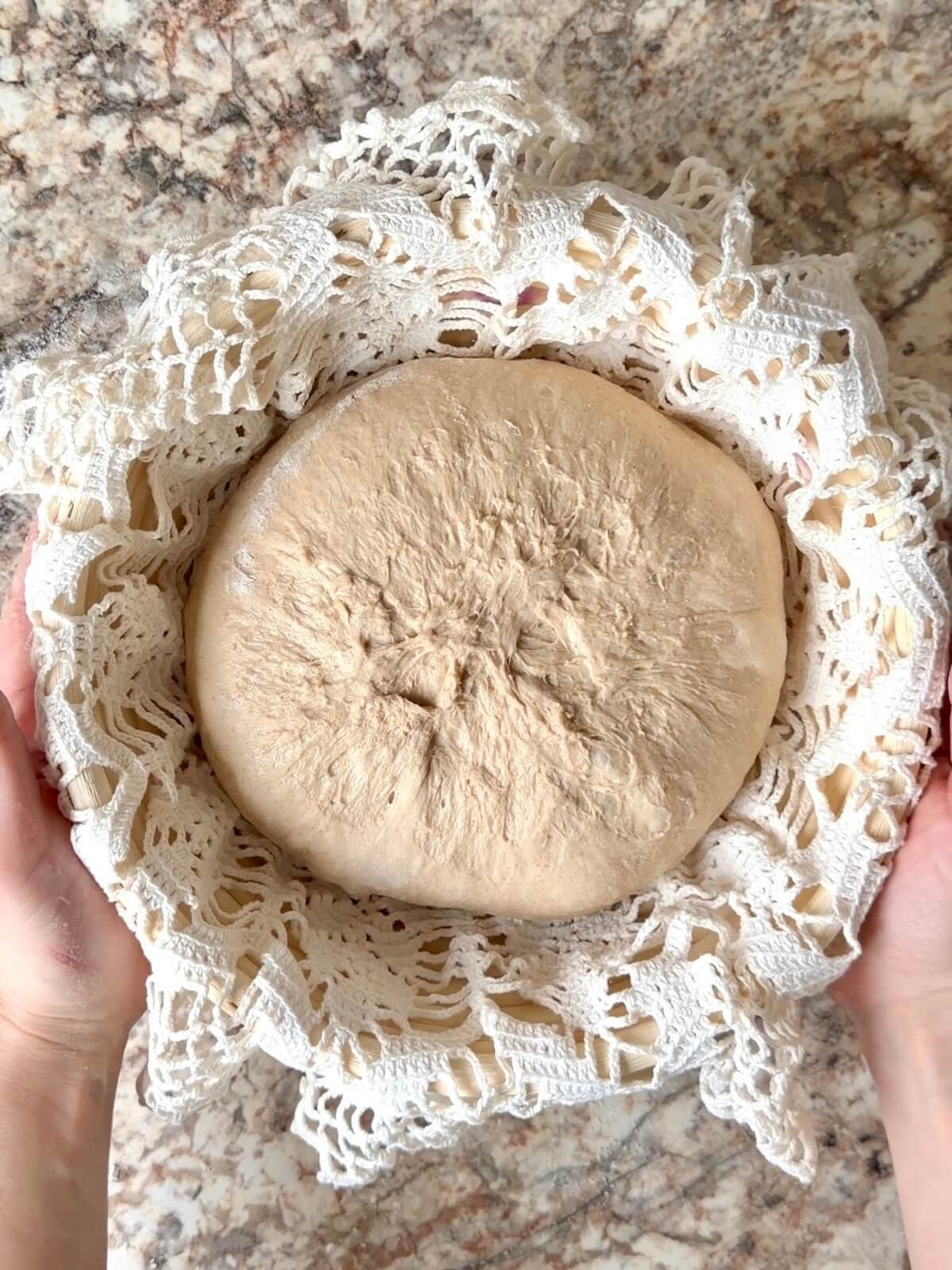 Root beer sourdough bread dough in a round proofing basket before cold proofing overnight.
