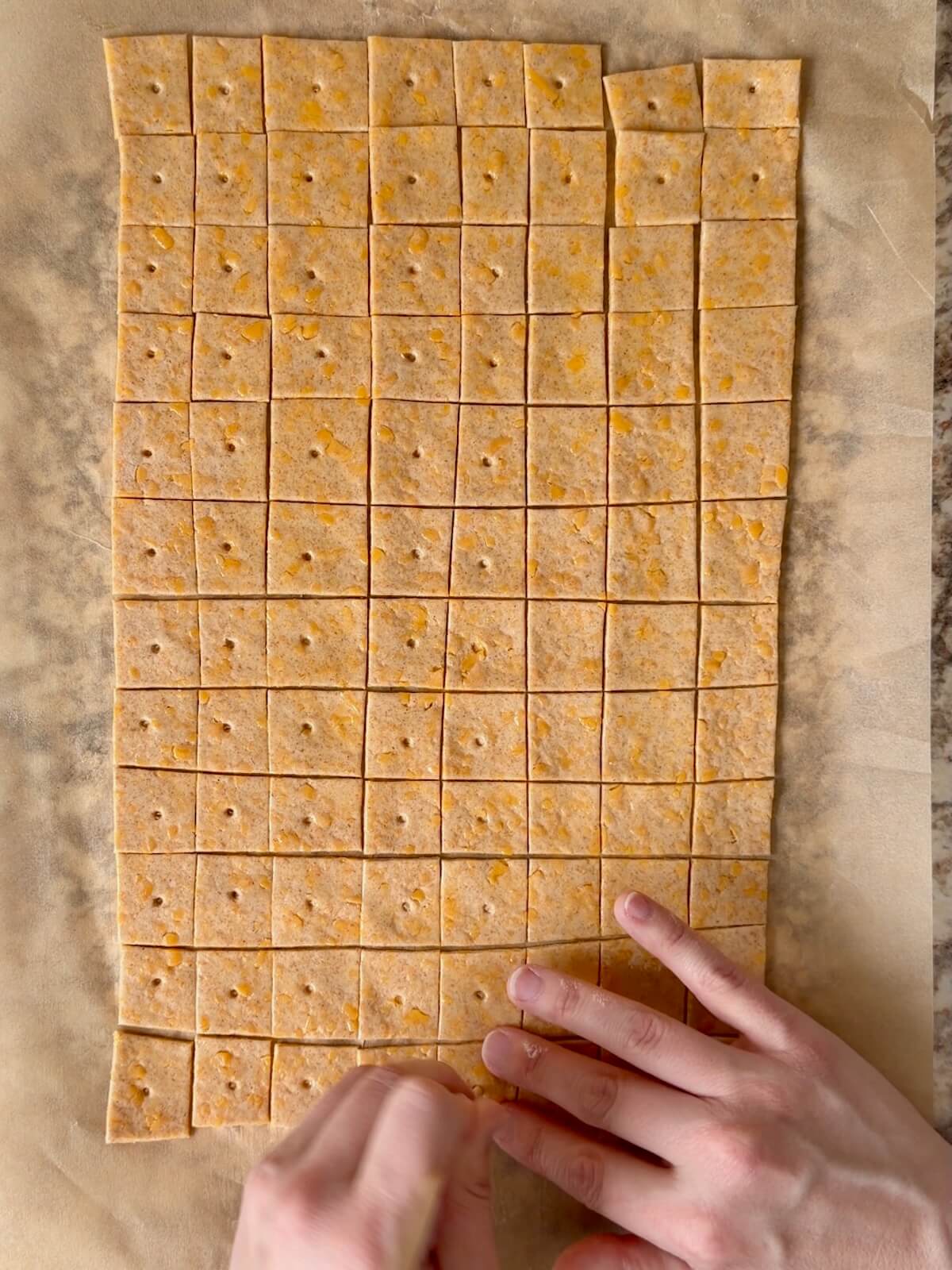 Sourdough discard cheese crackers on parchment paper before baking.