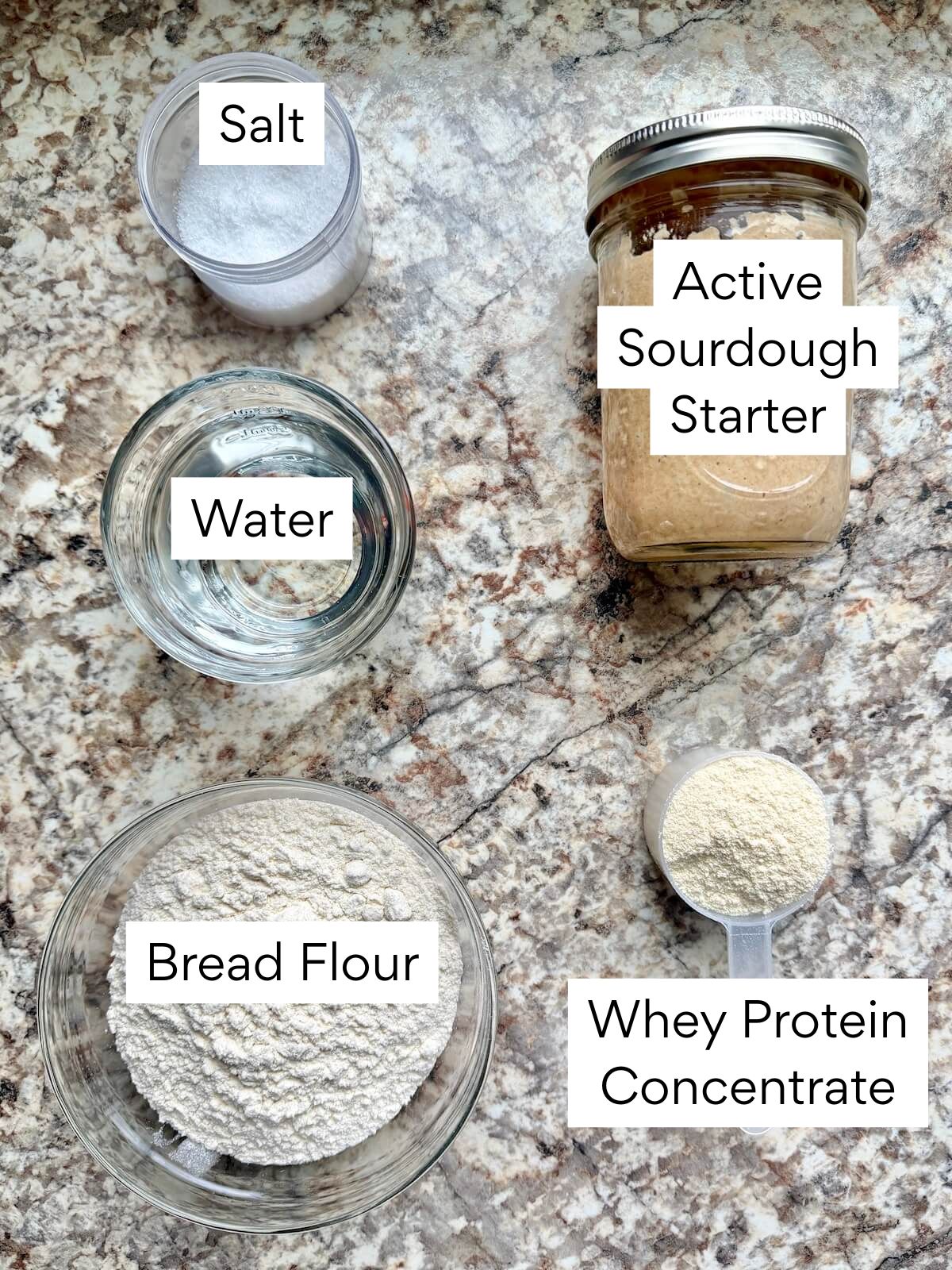 The ingredients to make high-protein sourdough bread. Each ingredient is labeled with text. They include active sourdough starter, whey protein concentrate, bread flour, water, and salt.