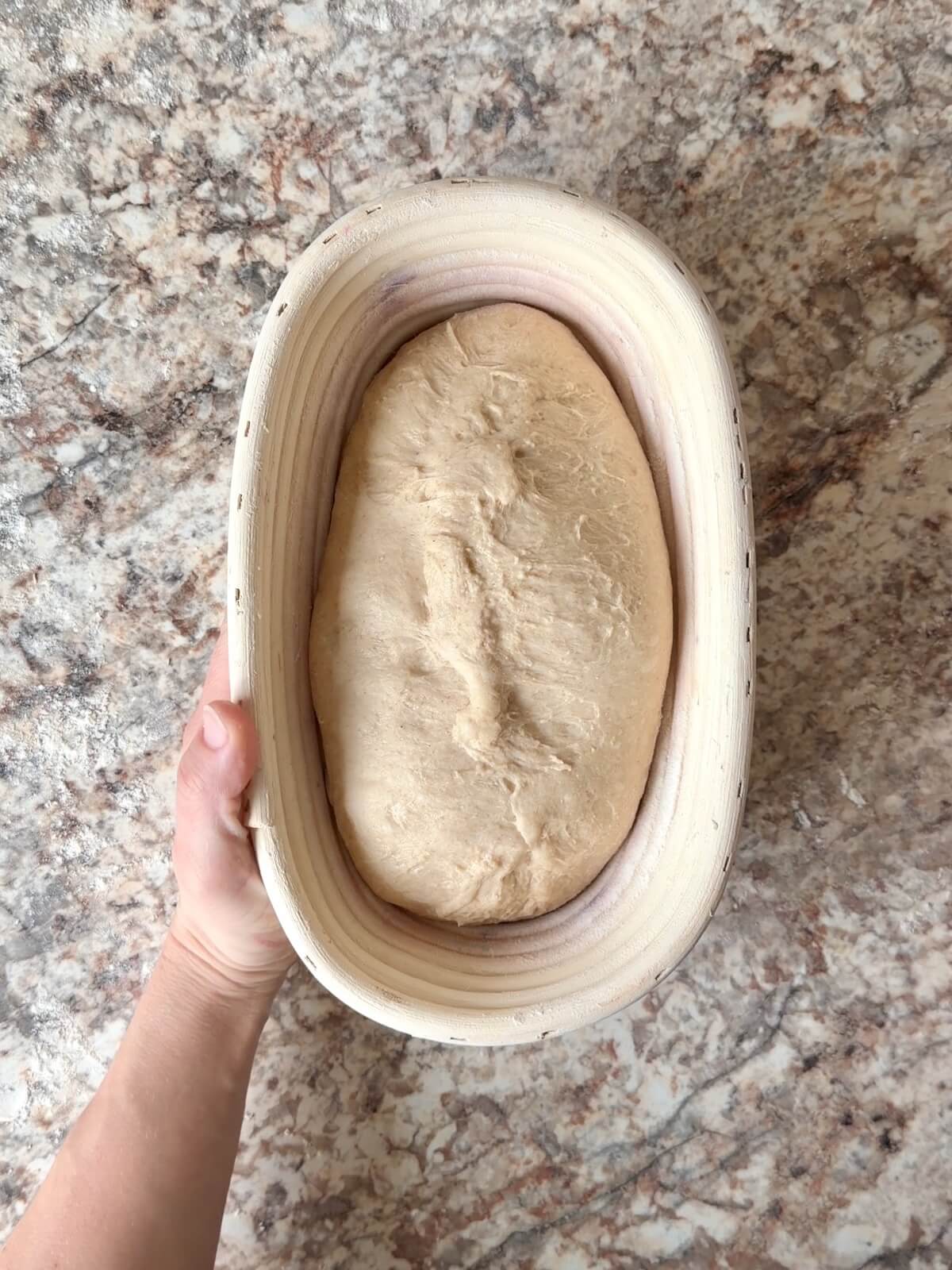 High protein sourdough bread dough in an oval proofing basket before proofing overnight.