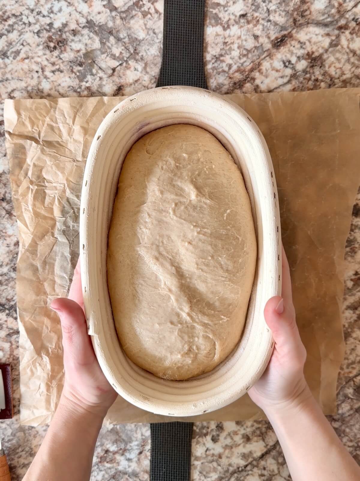High protein sourdough bread dough in an oval proofing basket after proofing overnight.