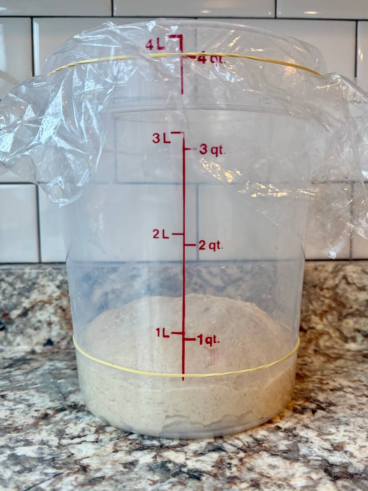 High-protein sourdough bread dough in a straight-sided container before bulk fermenting.