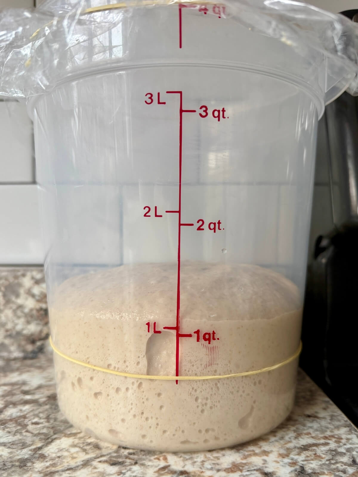 High-protein sourdough bread dough in a straight-sided container after bulk fermenting.