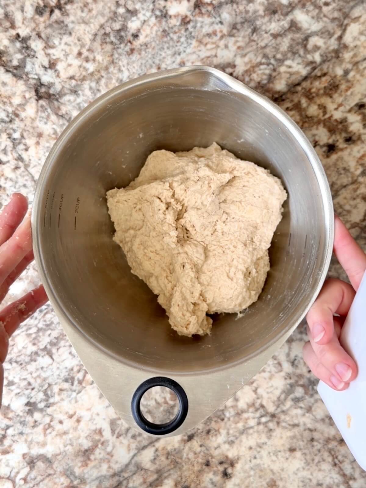 Beer sourdough pizza dough mixed in a bowl.