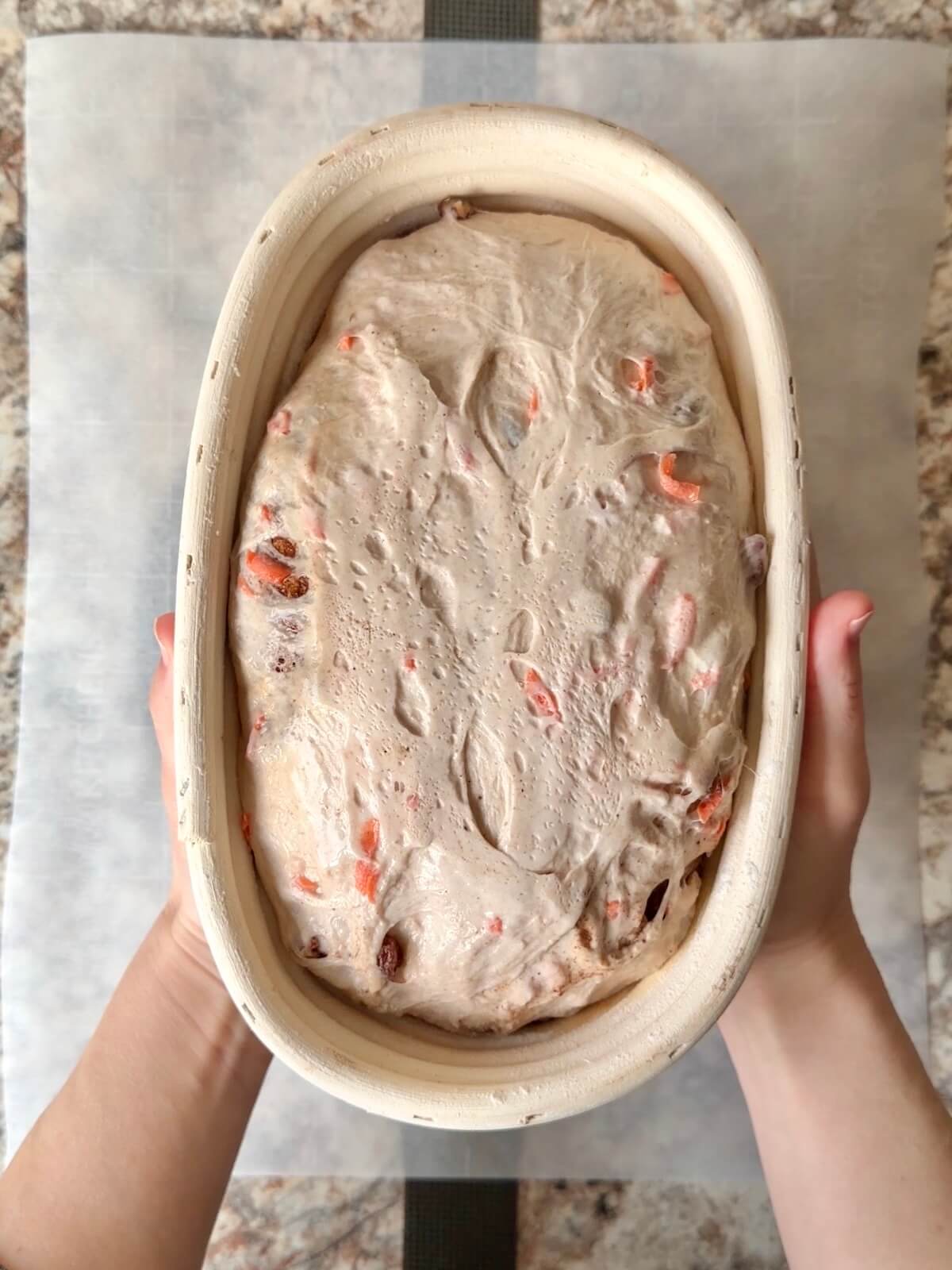 Carrot cake sourdough bread dough in an oval proofing basket after cold proofing overnight.