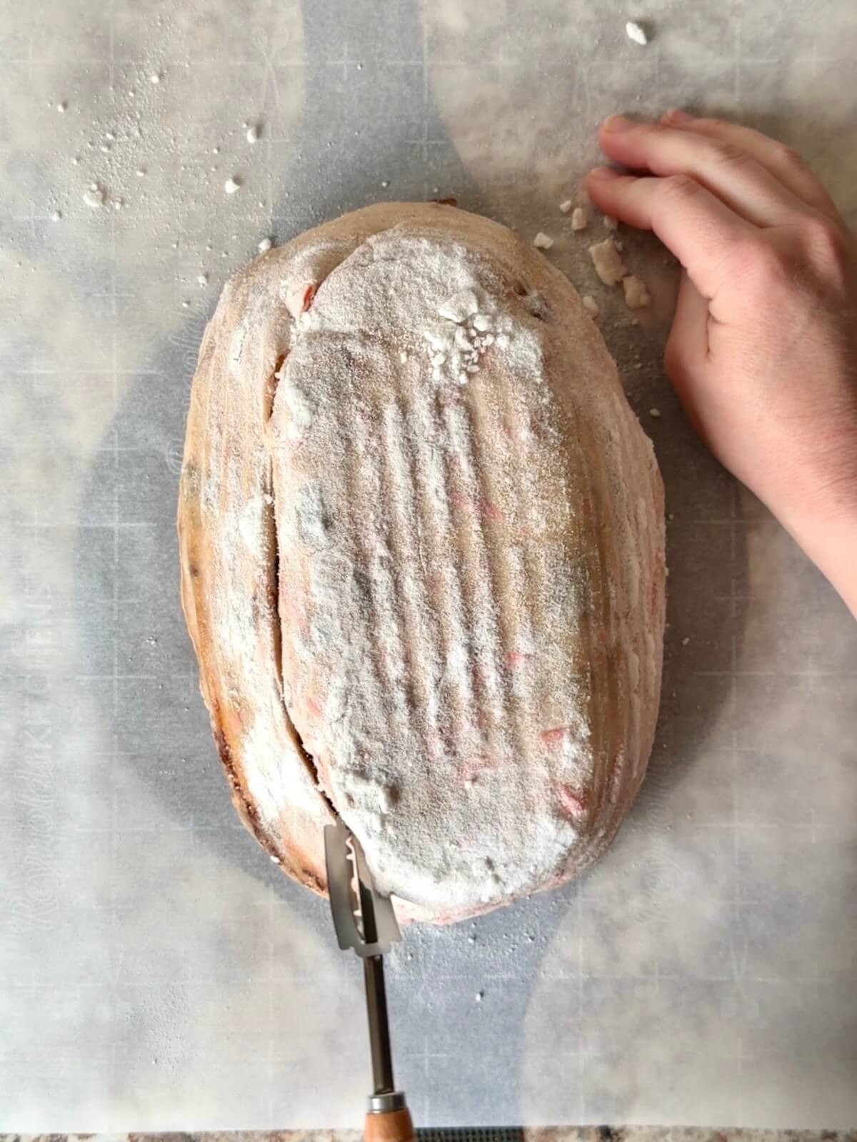 Carrot cake sourdough bread dough being scored on a sheet of parchment paper.