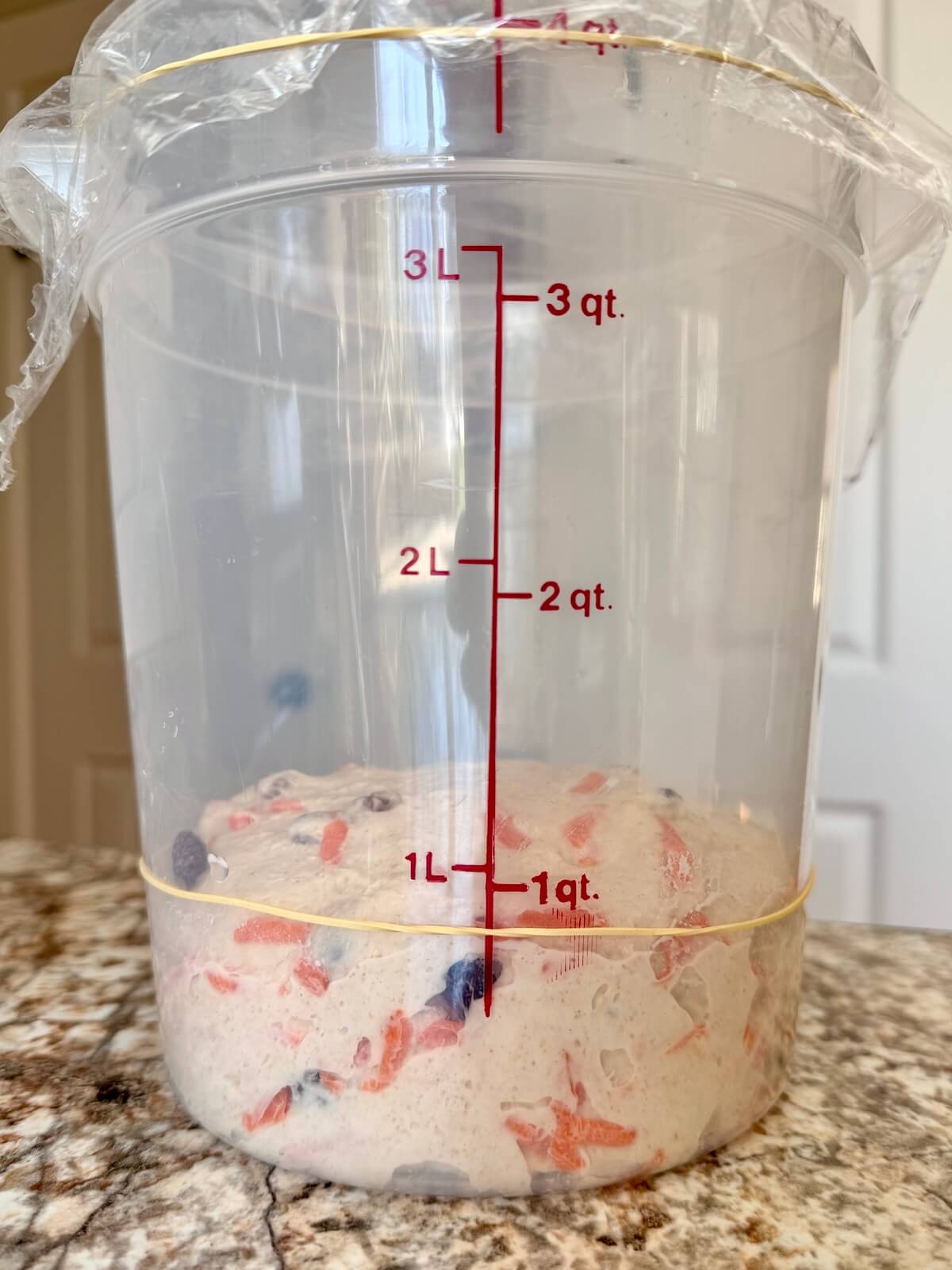 Carrot cake sourdough bread dough in a straight-sided container before bulk fermentation.