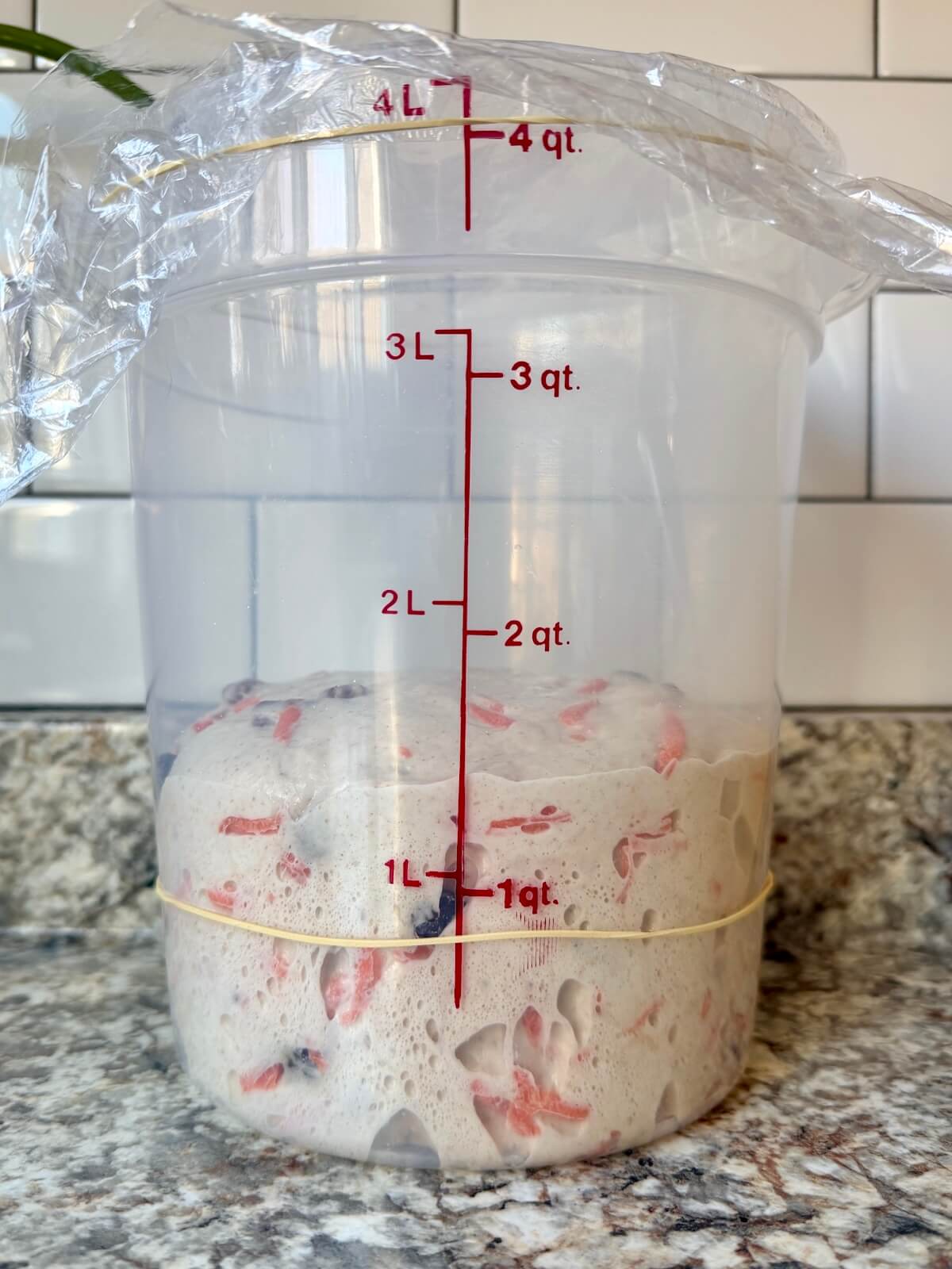 Carrot cake sourdough bread dough in a straight-sided container before bulk fermentation.
