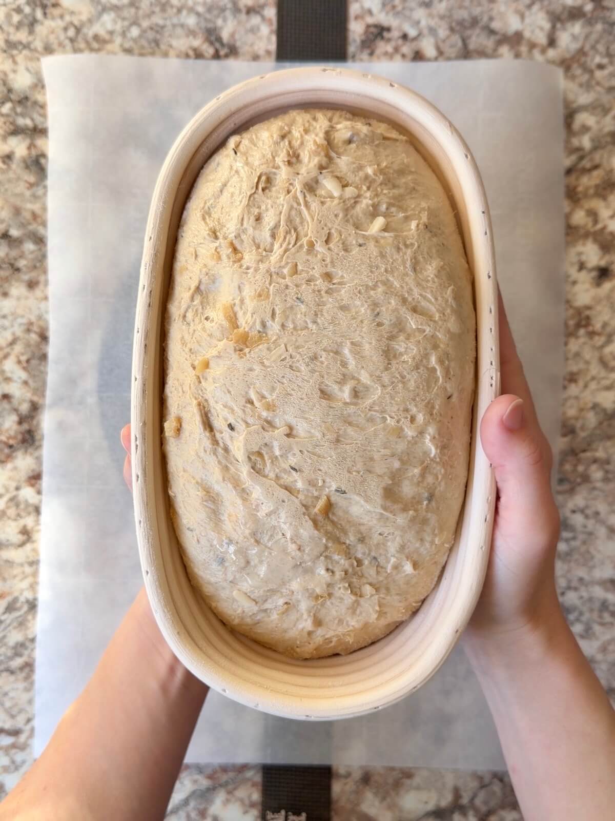 French onion soup sourdough bread dough in an oval proofing basket after cold proofing overnight.