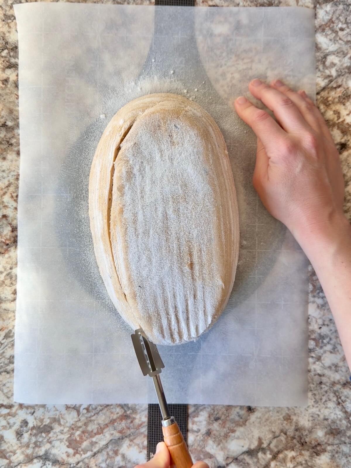 French onion soup sourdough bread being scored on a piece of parchment paper.