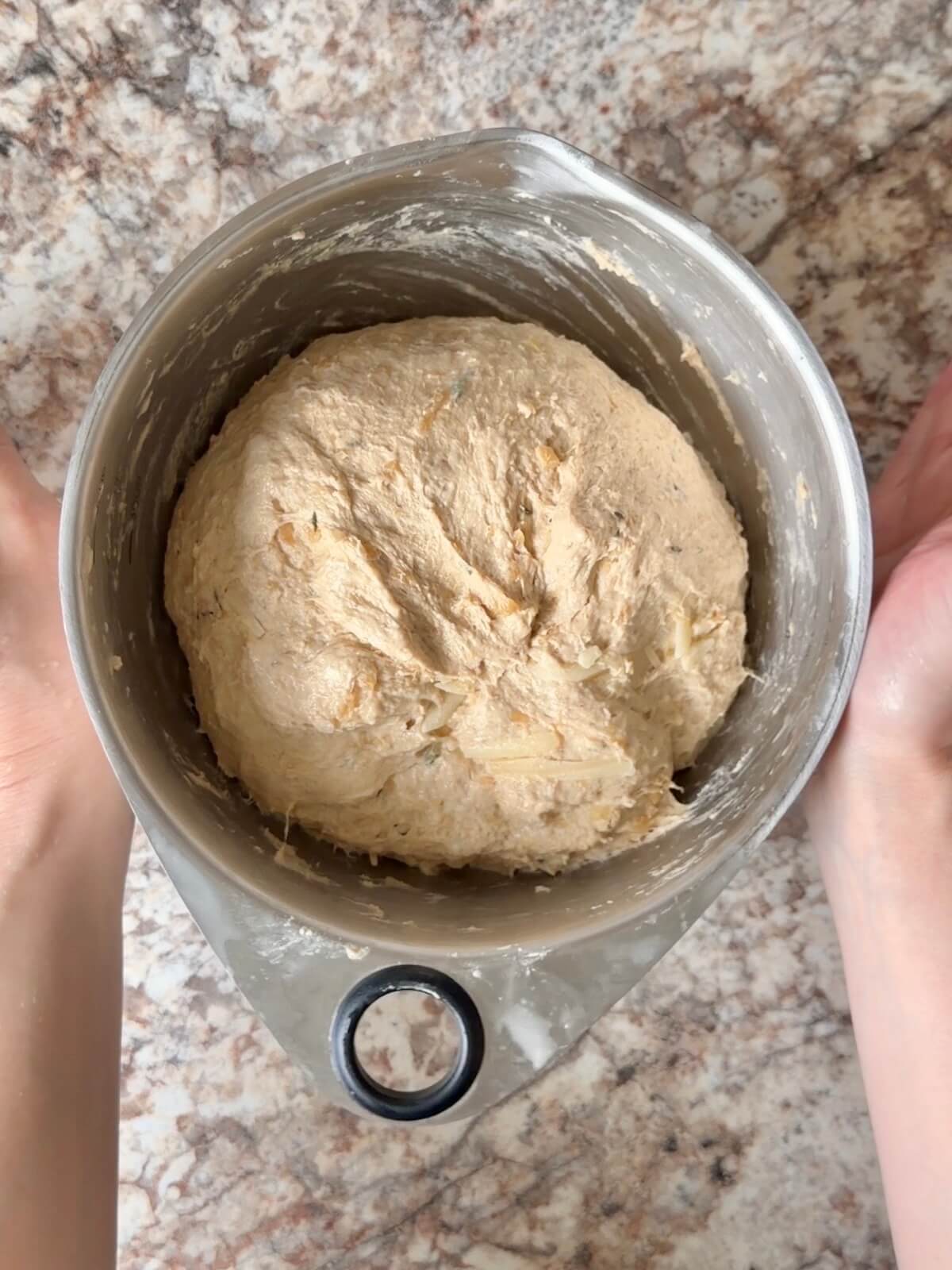 Stretched and folded French onion soup sourdough bread dough in a bowl.