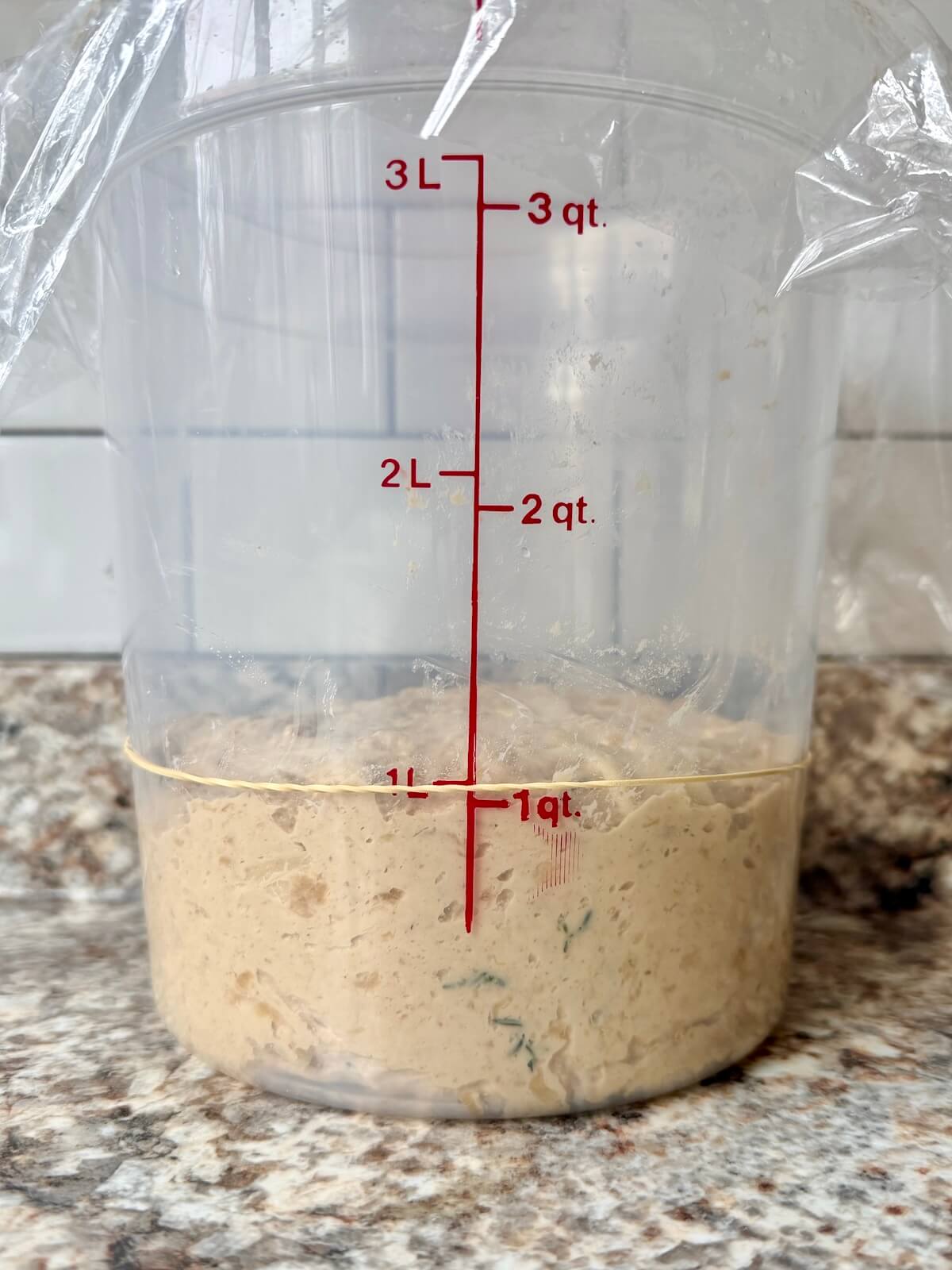 French onion soup sourdough bread dough in a straight-sided container before bulk fermentation.