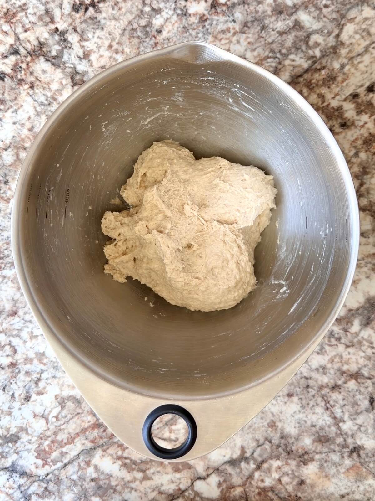 Sourdough protein pizza dough mixed in a bowl.