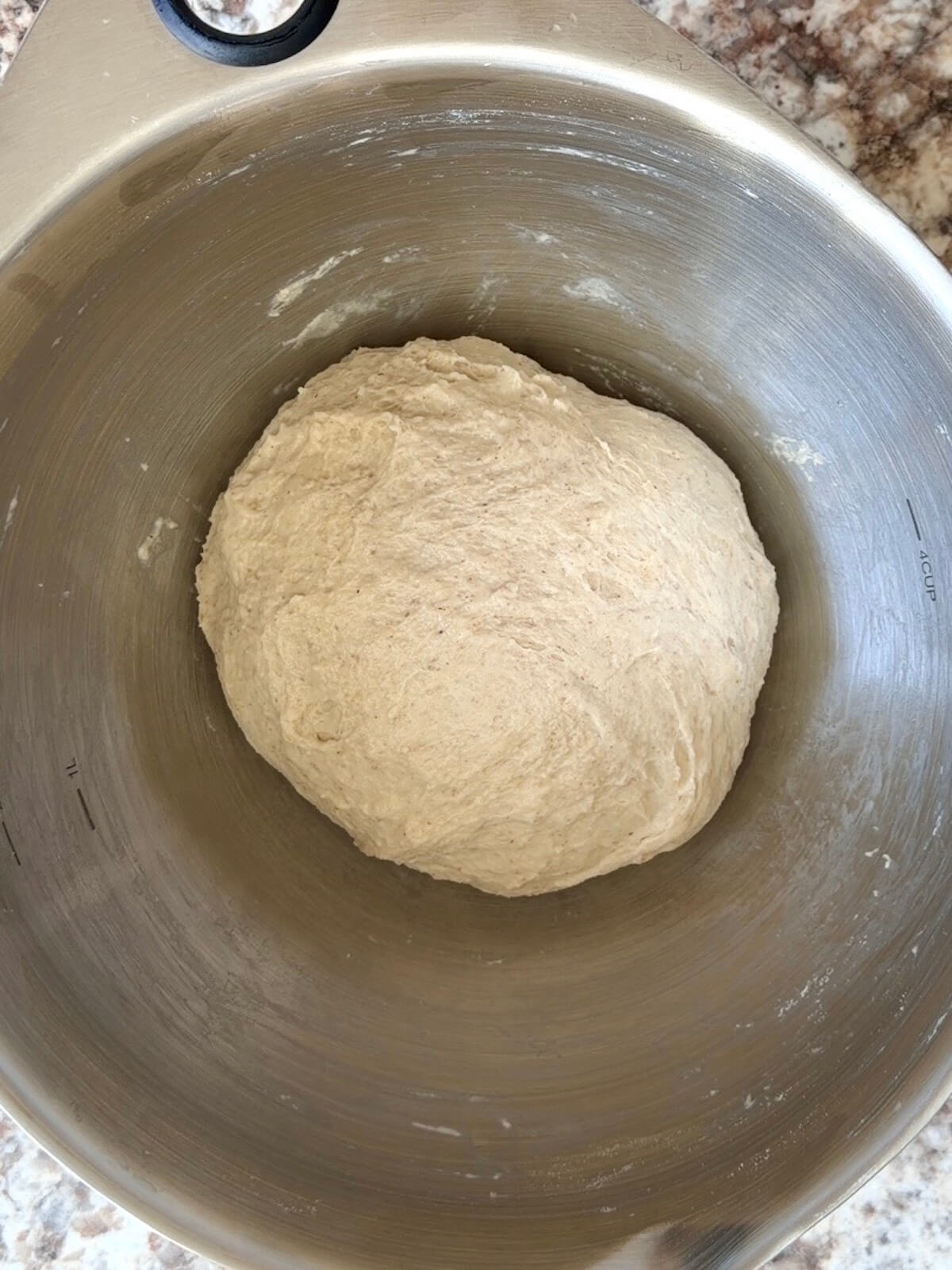 Sourdough protein pizza dough in a bowl after being stretched and folded.