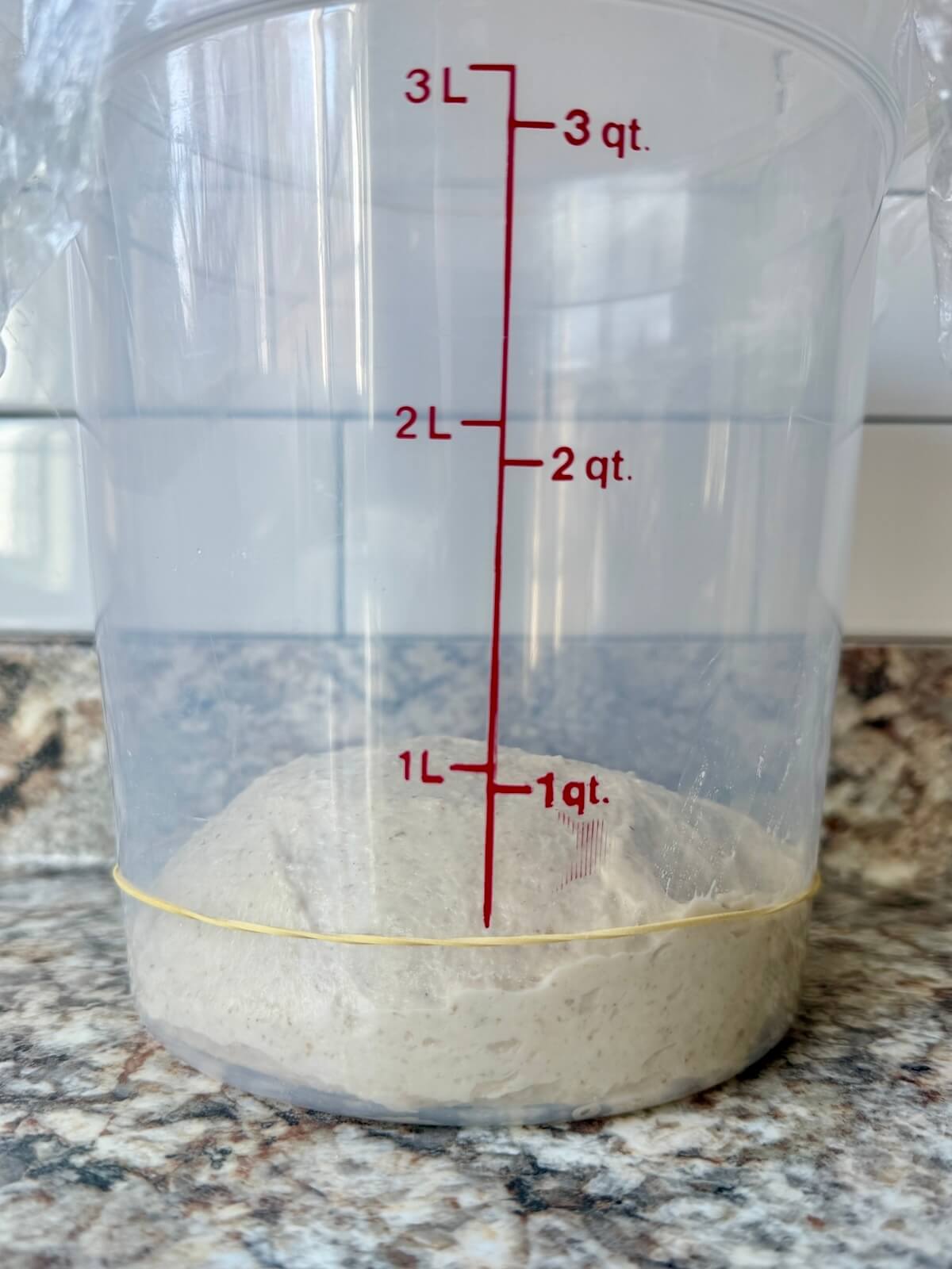 High-protein sourdough pizza dough in a straight-sided container before bulk fermentation.