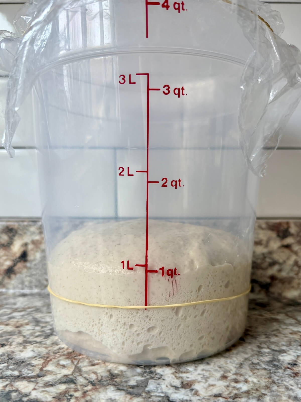 High-protein sourdough pizza dough in a straight-sided container after bulk fermentation.