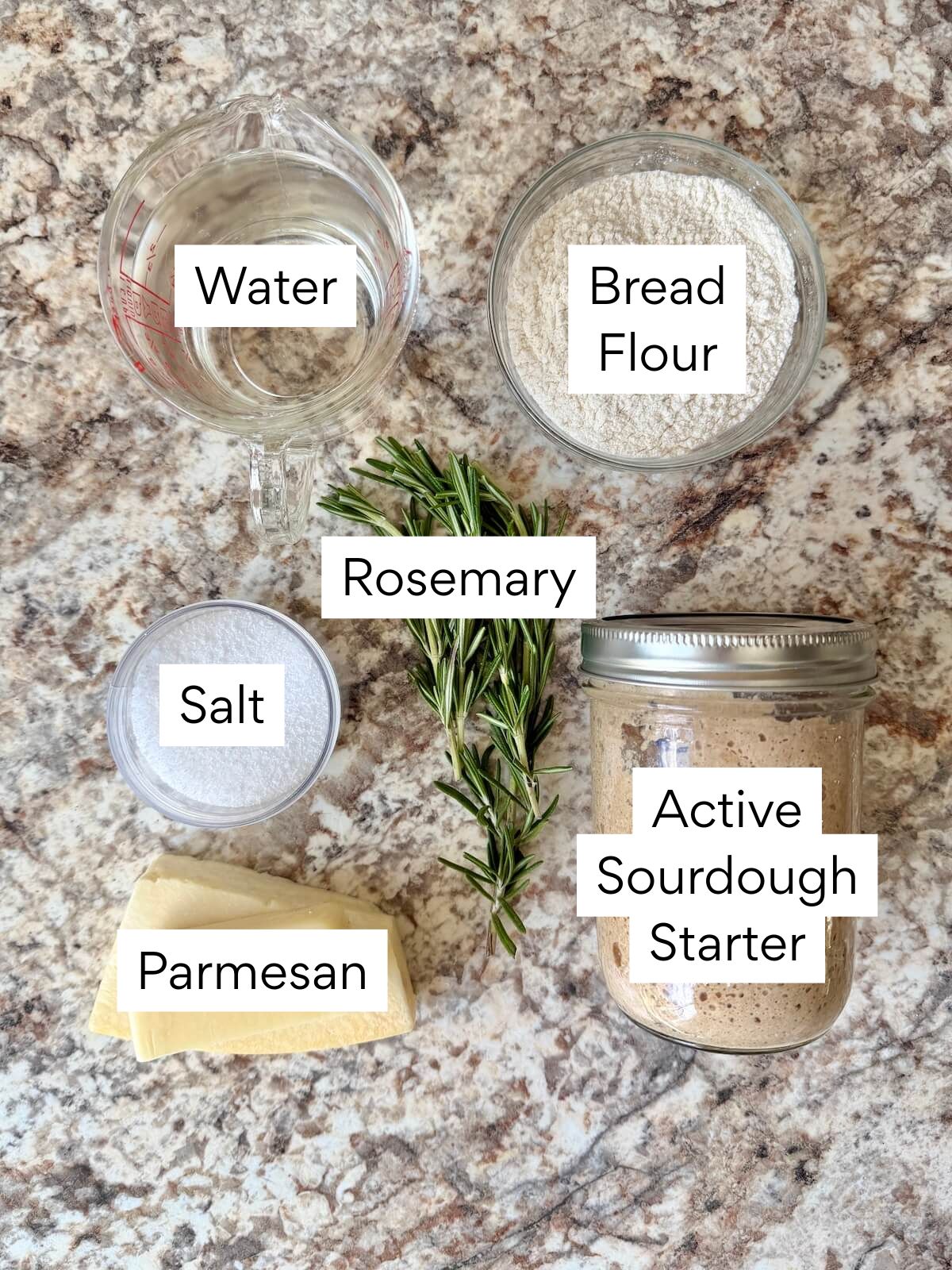 The ingredients to make rosemary parmesan sourdough bread. Each ingredient is labeled with text. They include water, bread flour, rosemary, salt, parmesan, and active sourdough starter.