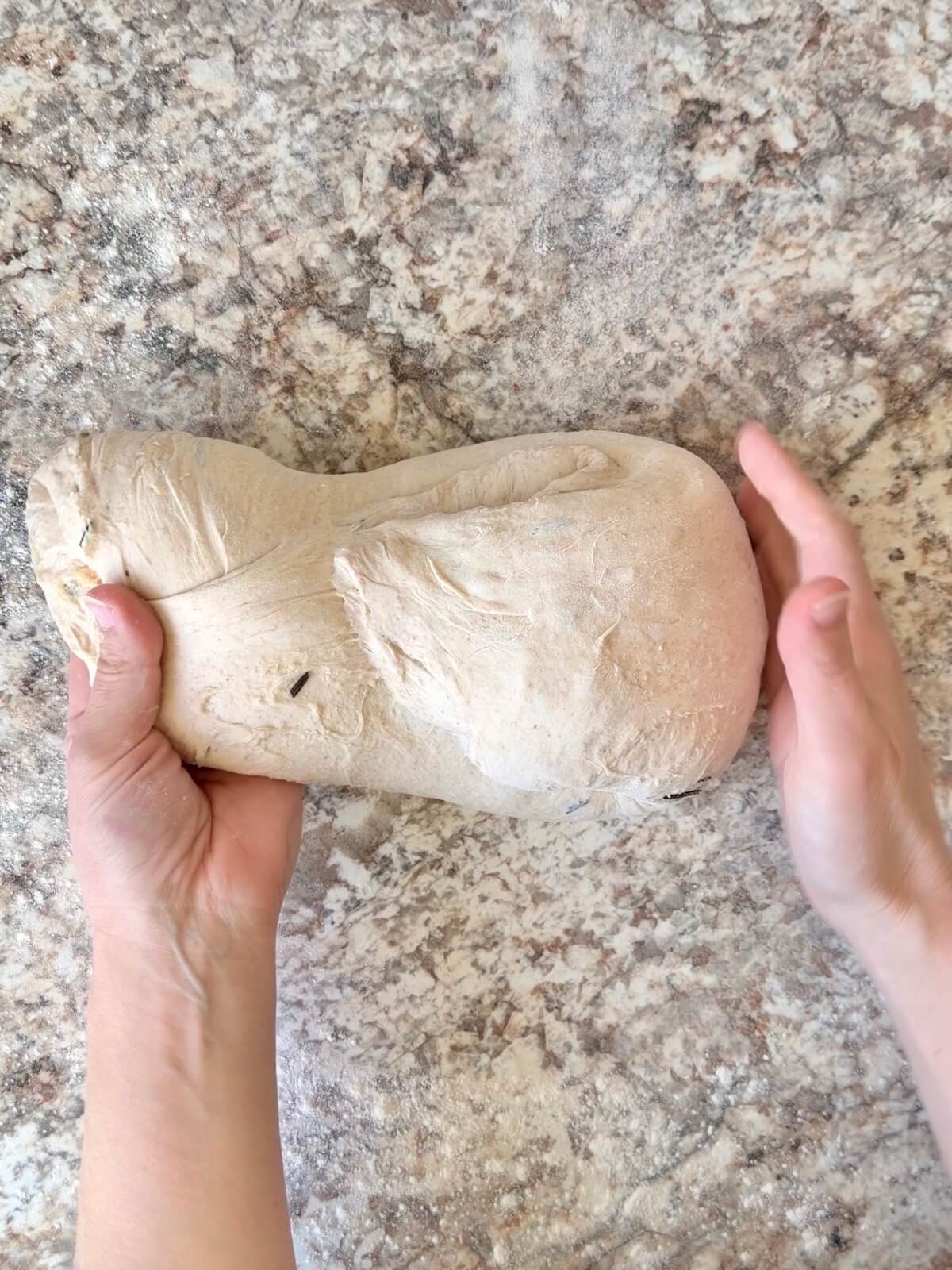 Fermented parmesan rosemary sourdough bread dough being shaped on a floured counter.