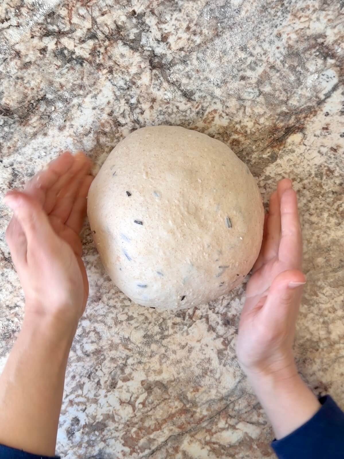 Fermented parmesan rosemary sourdough bread dough being shaped into a dough ball on a floured counter.